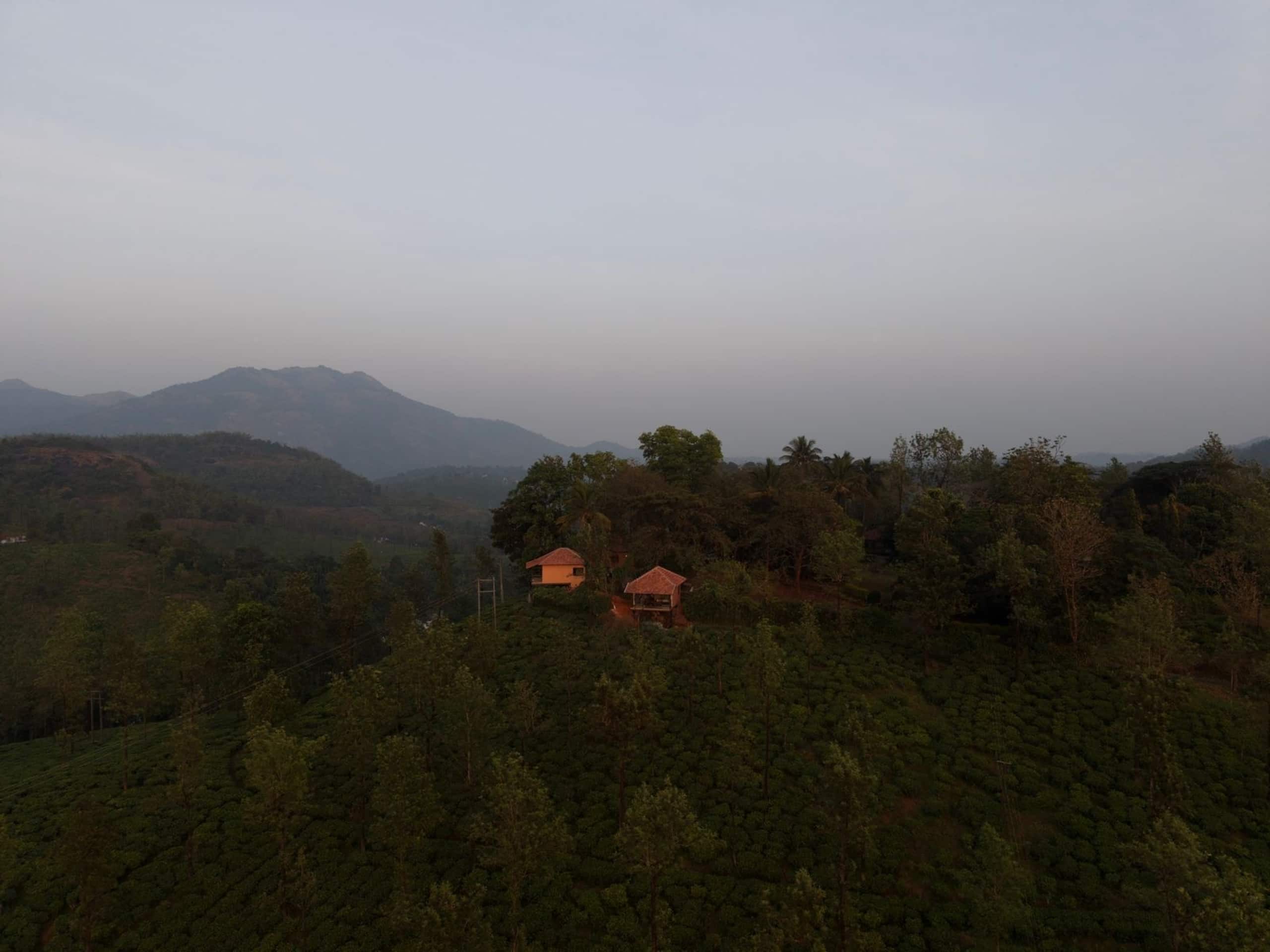 Cottage in a Tea Estate | Private 1