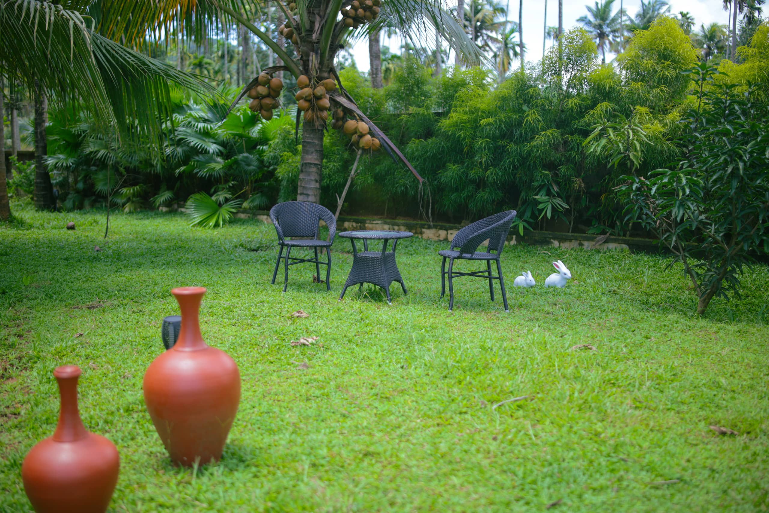 Nyra Thottam - Athirappilly 25