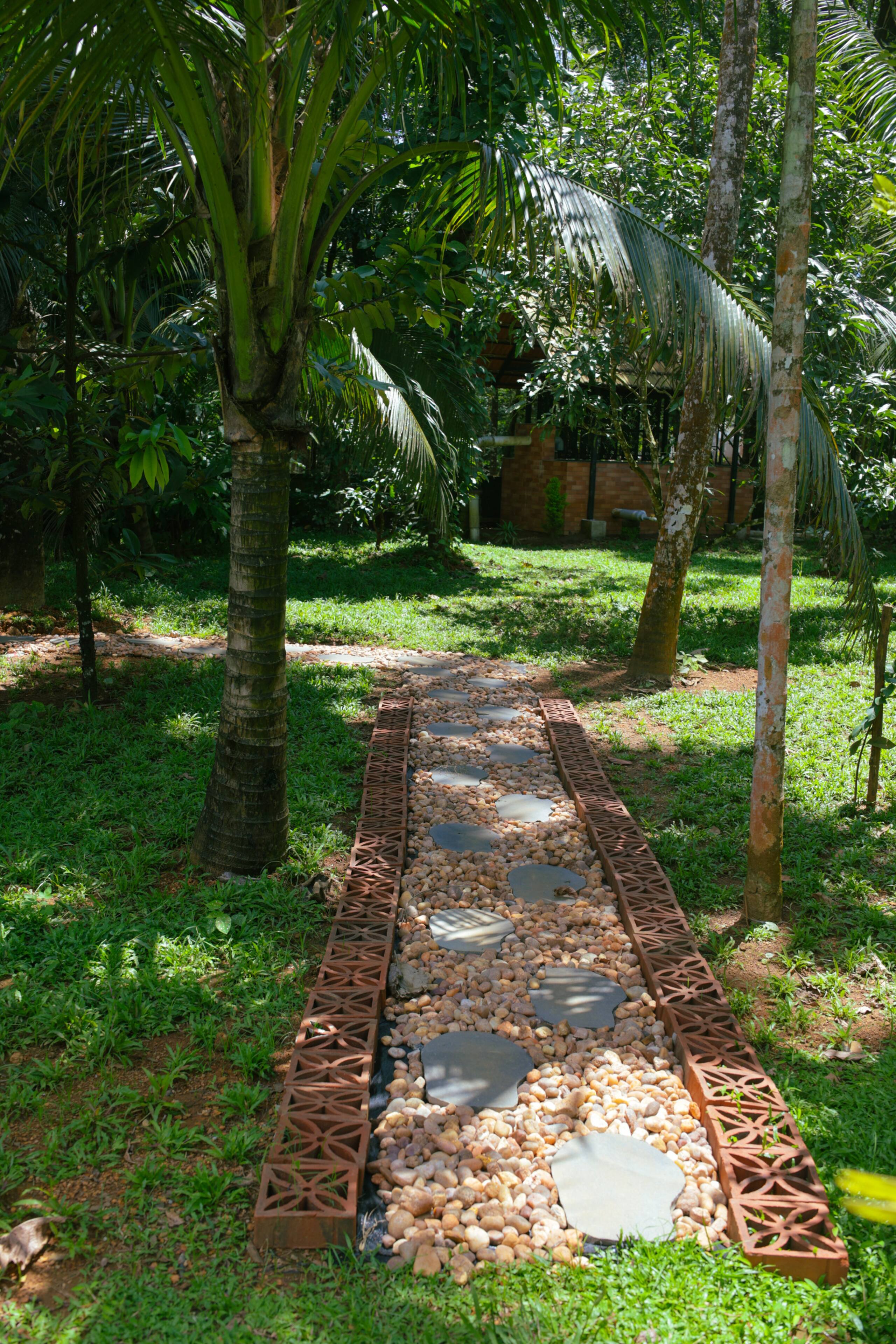 Nyra Thottam - Athirappilly 28