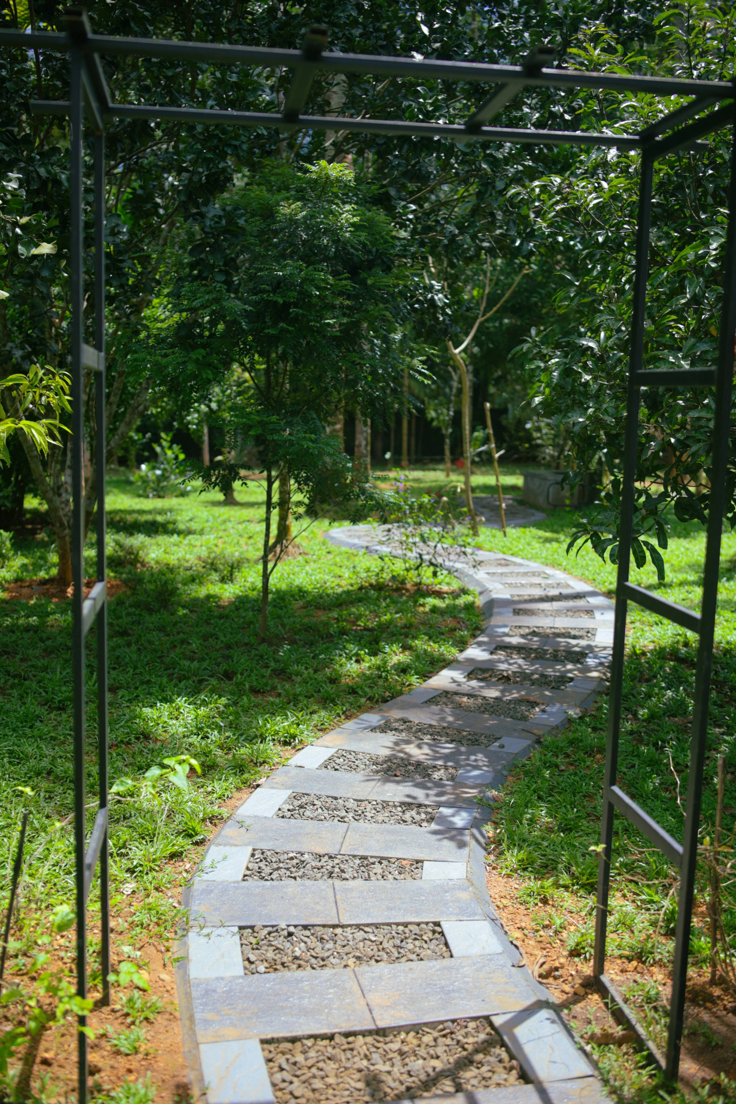 Nyra Thottam - Athirappilly 36