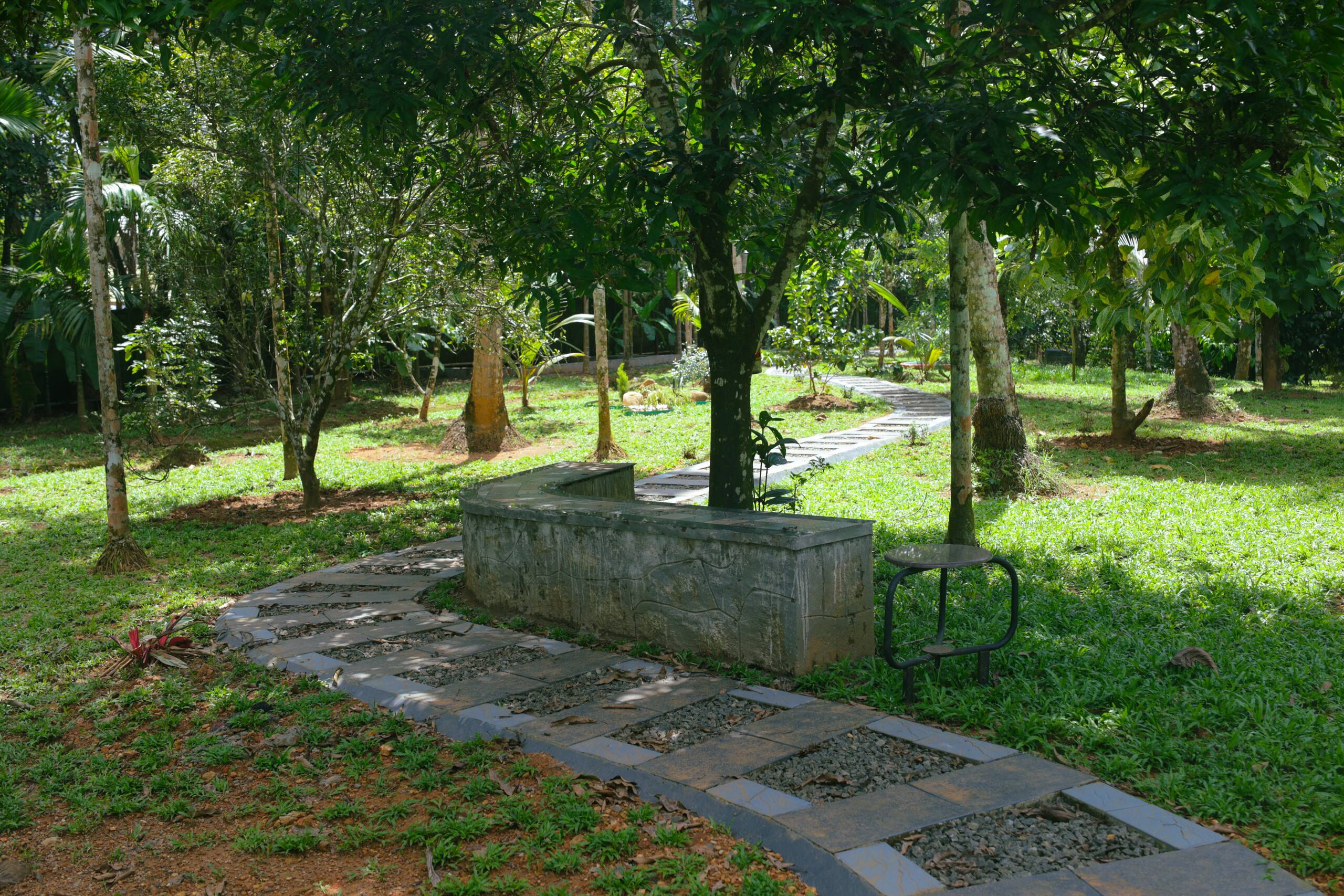Nyra Thottam - Athirappilly 35