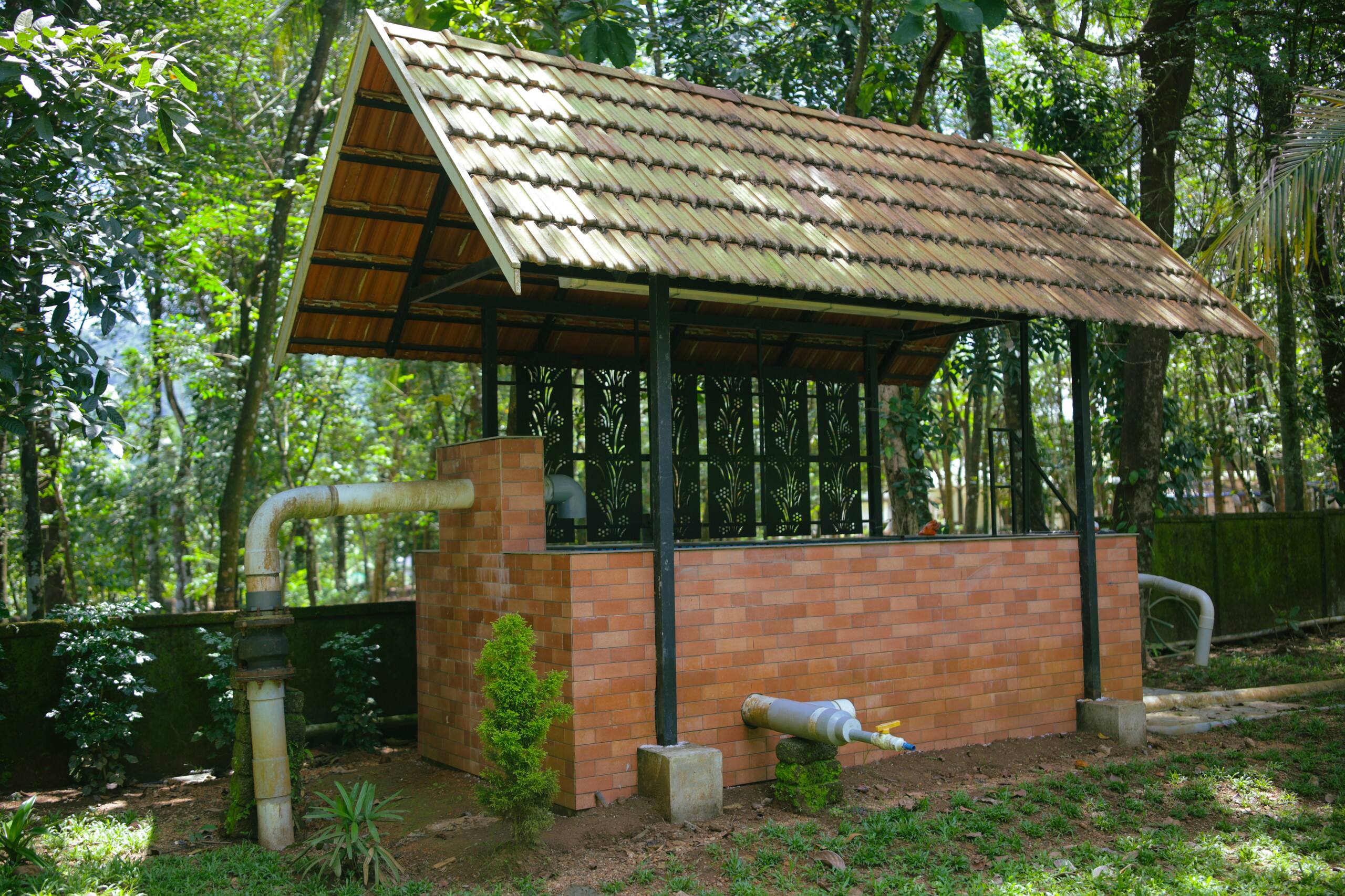 Nyra Thottam - Athirappilly 33