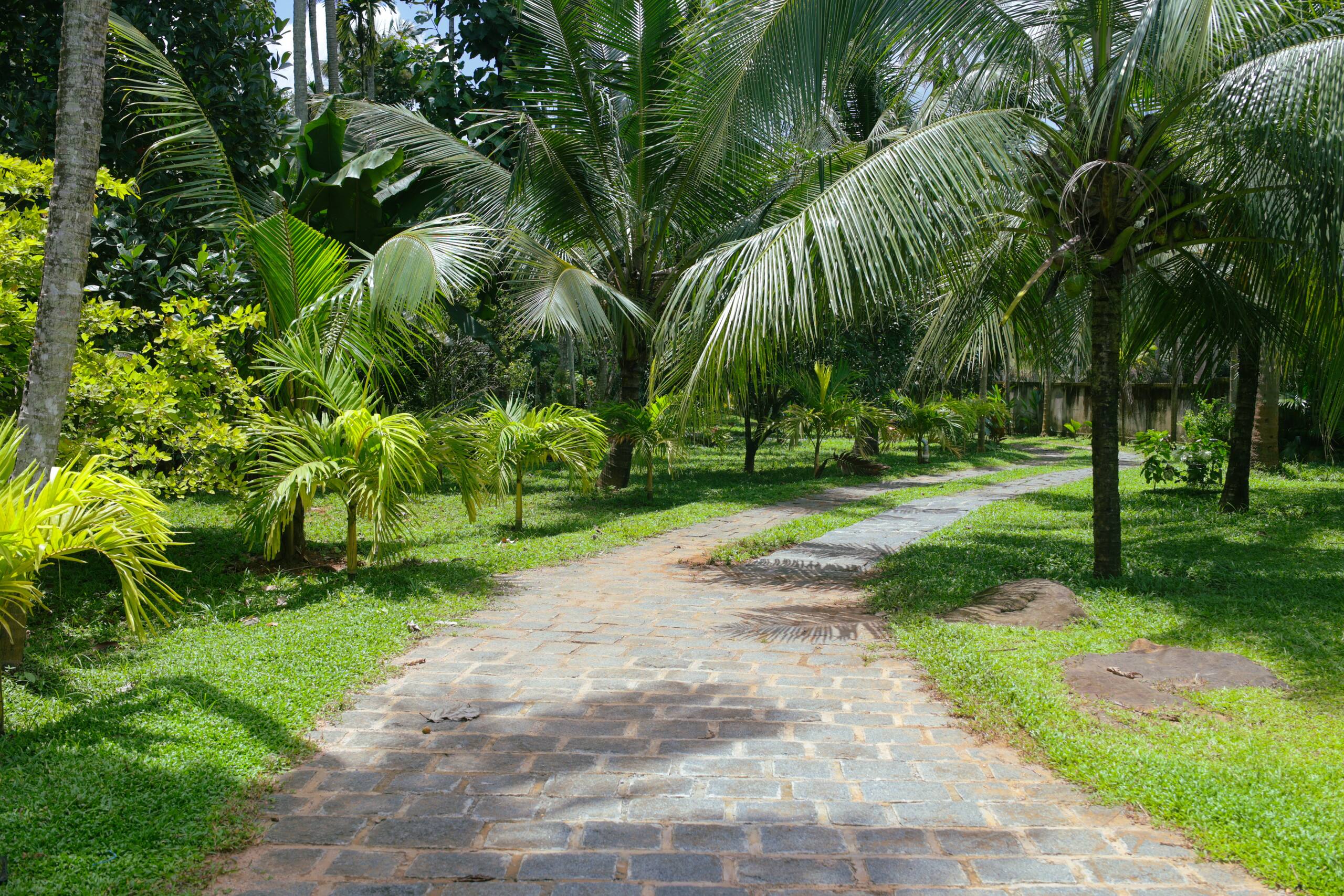 Nyra Thottam - Athirappilly 26