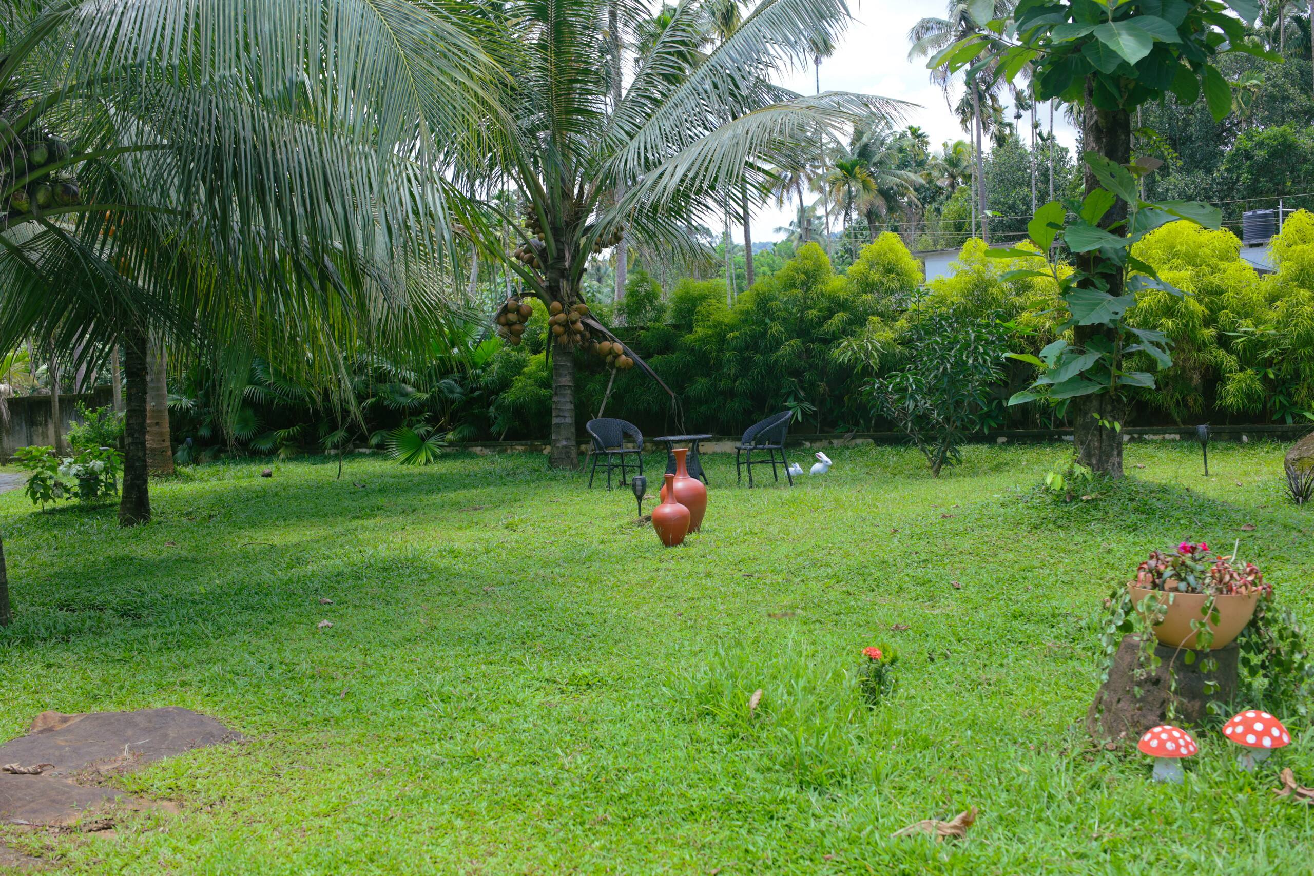 Nyra Thottam - Athirappilly 31