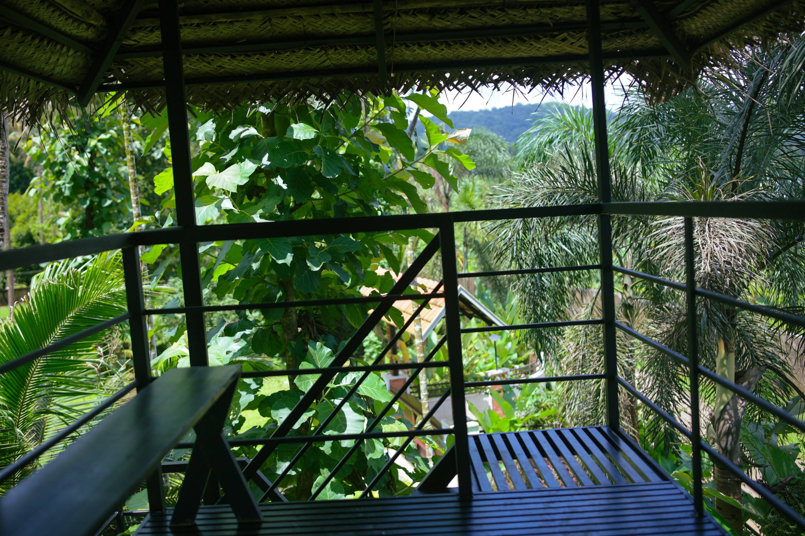Nyra Thottam - Athirappilly 27