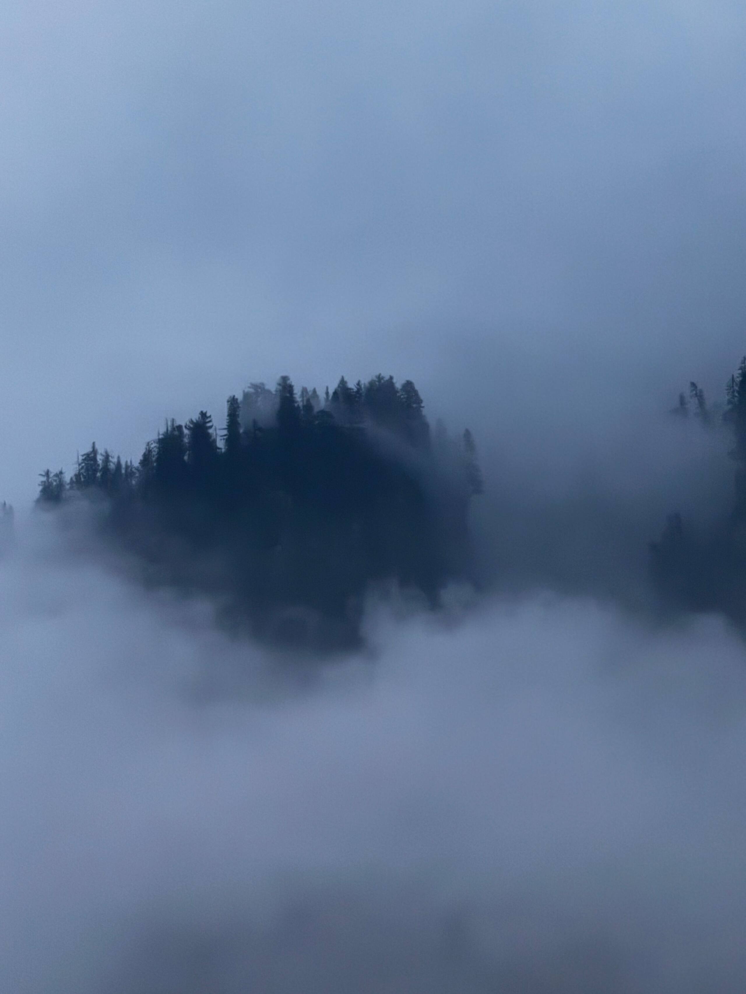 Tarang stays | a premium 4 room set in old Manali 1
