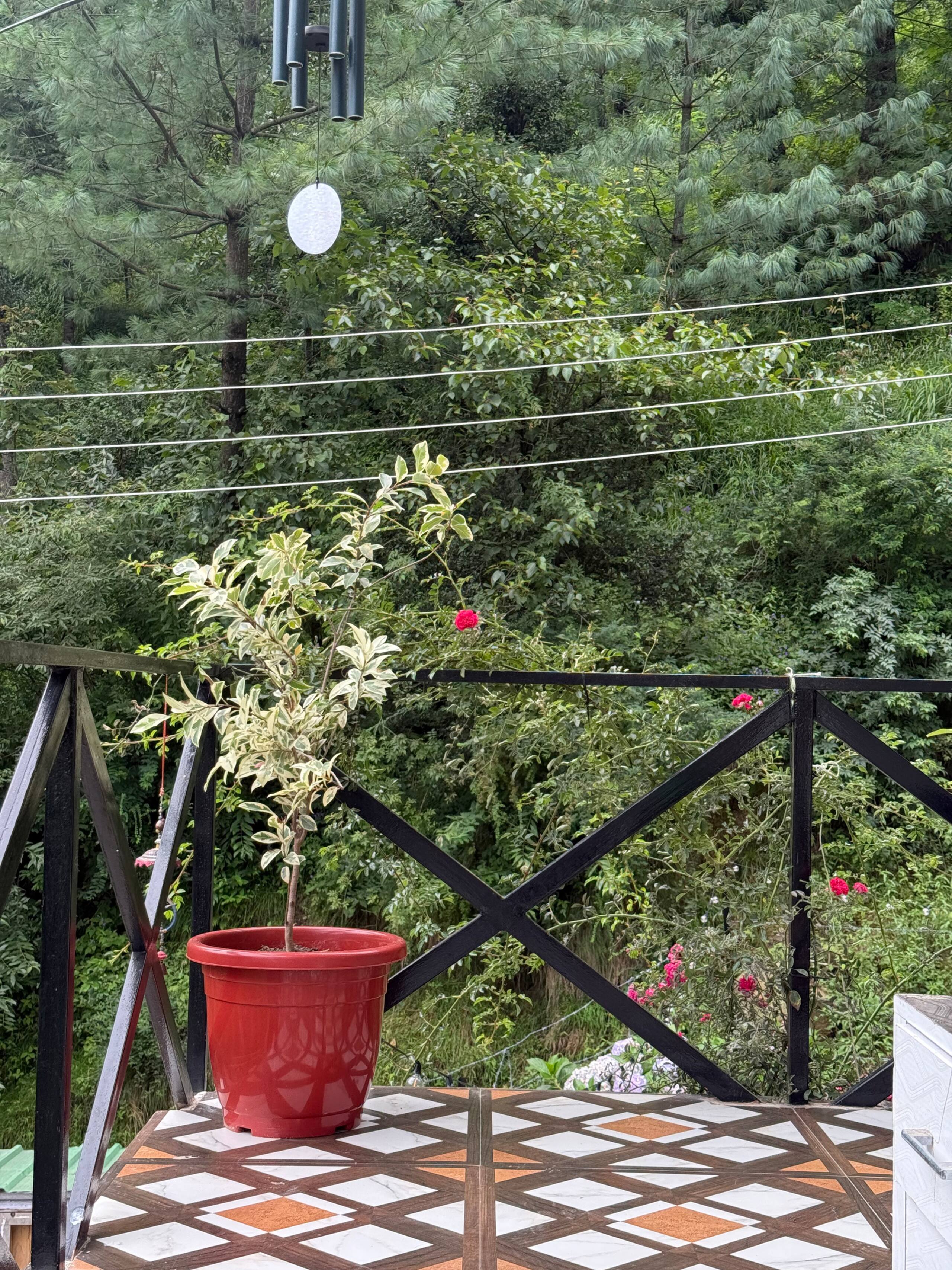 Tarang stays | a premium 4 room set in old Manali 3