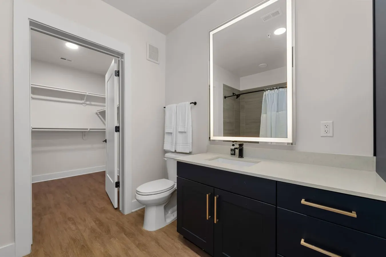 Spectacular 1-Bedroom Walk to Raymond James! 13