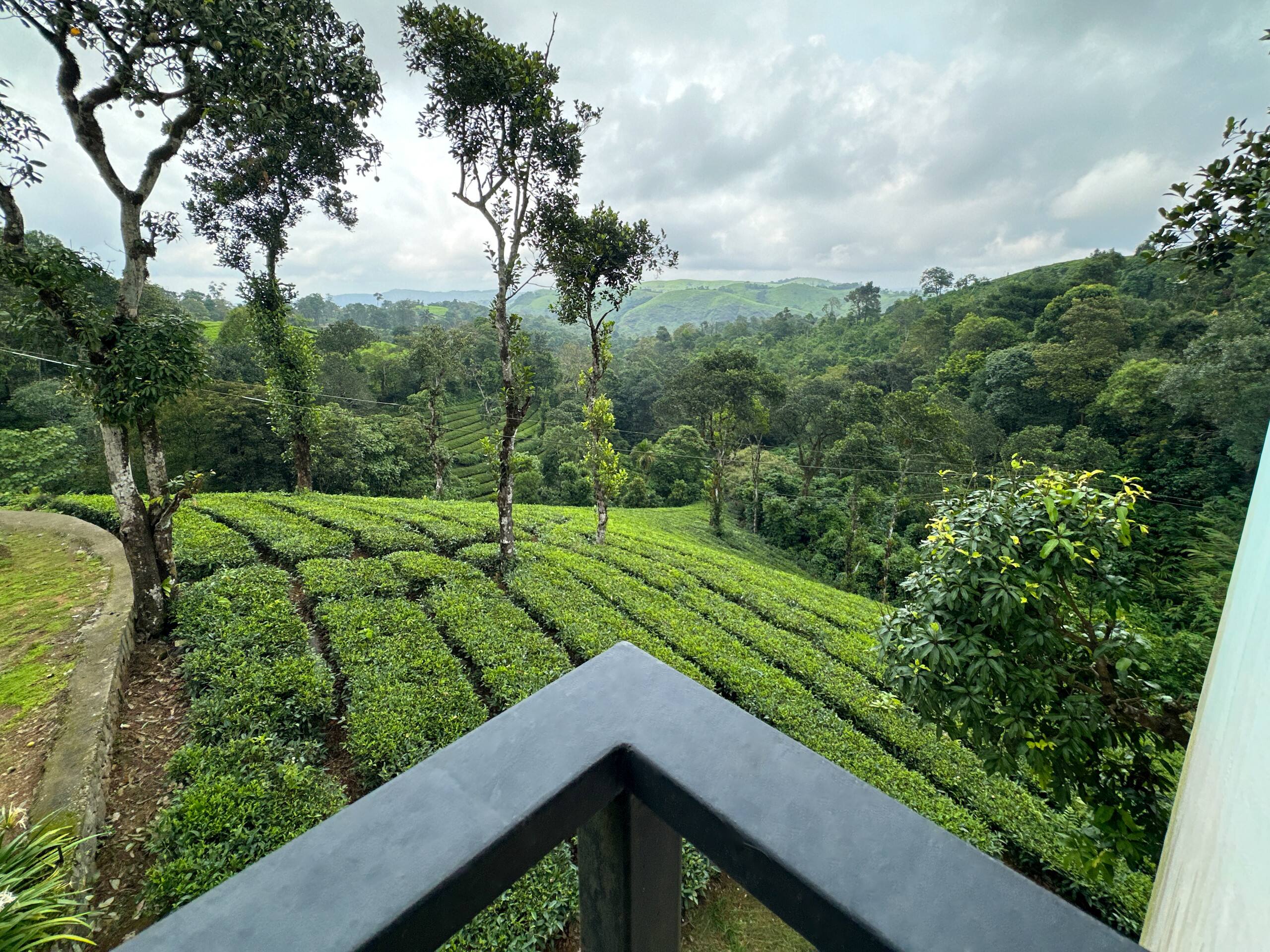 Serene slopes 36