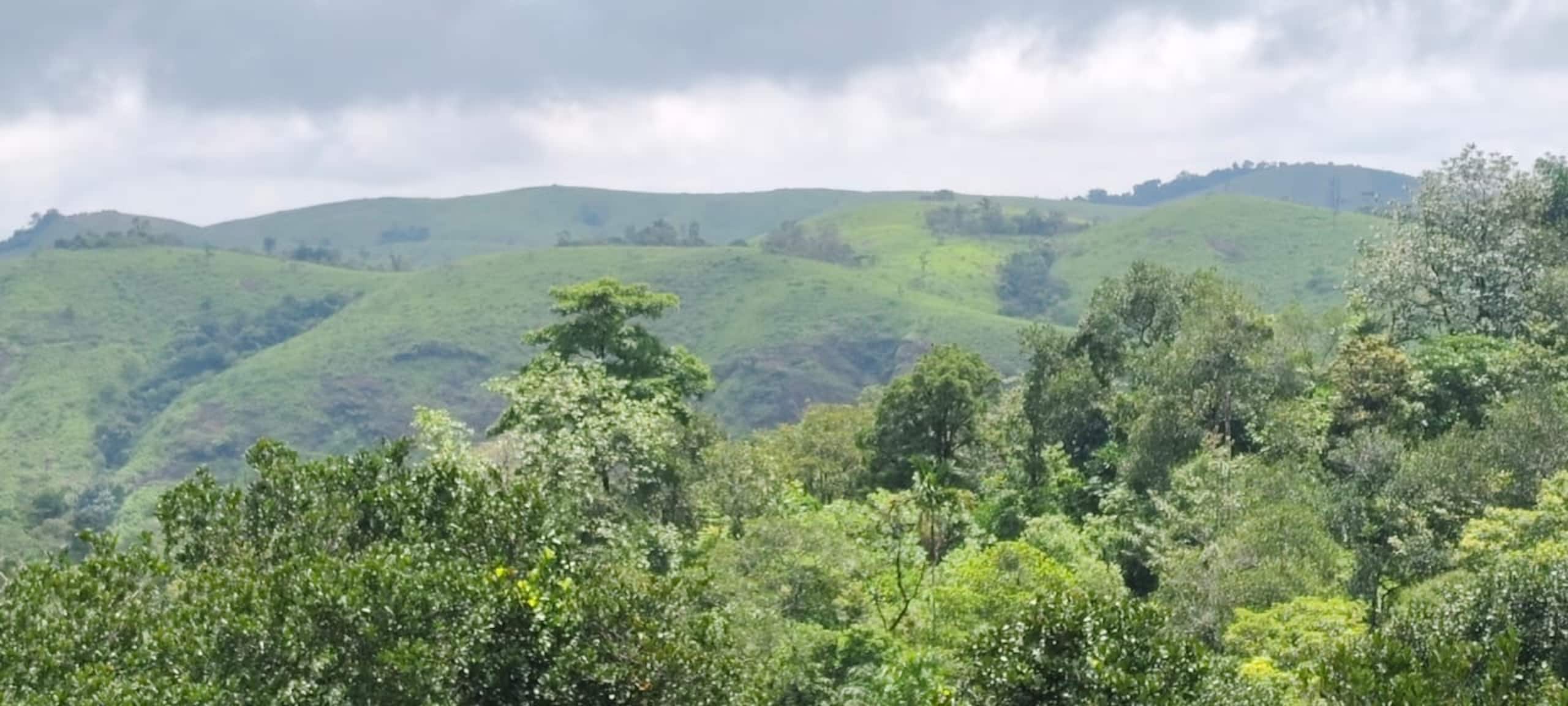 Serene slopes 38
