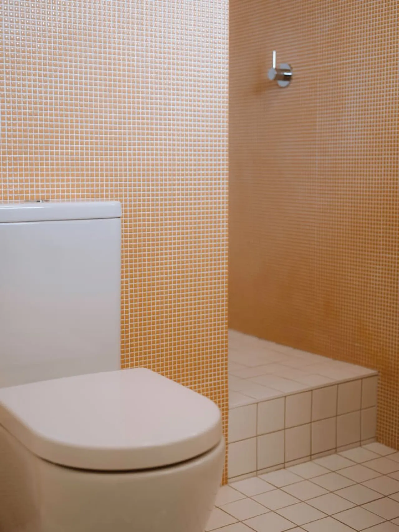 The Perfect Apartment 17