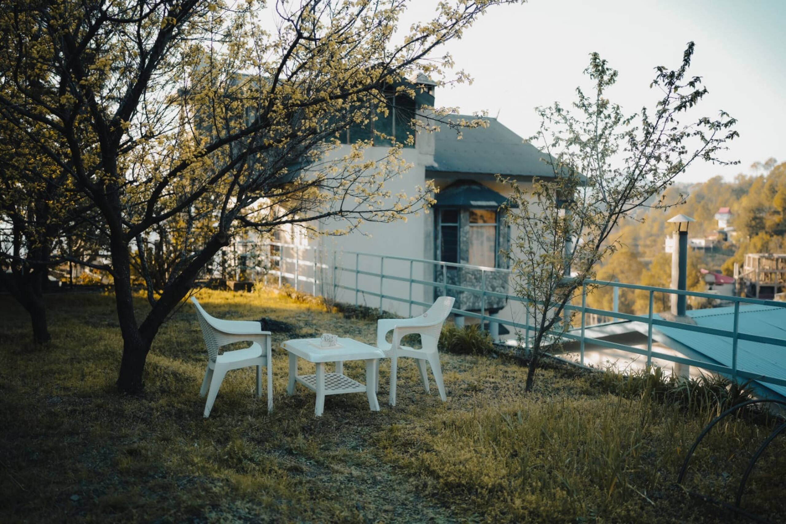 The White Pearl Meadows 15