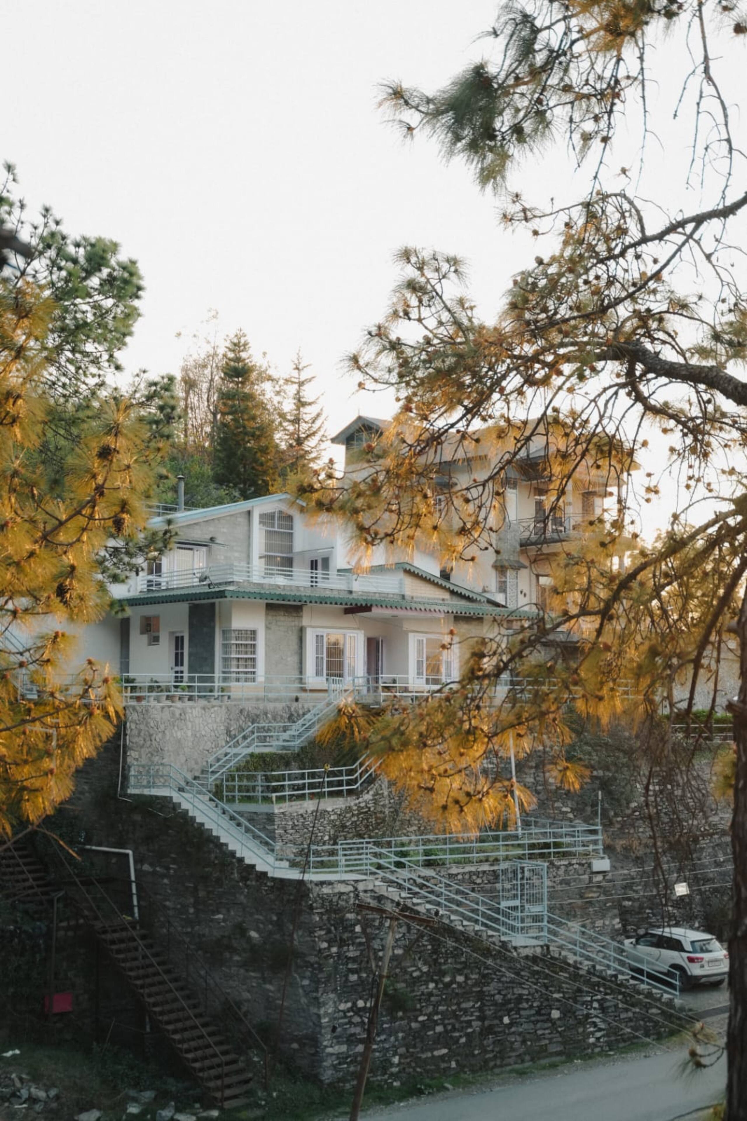The White Pearl Meadows 16