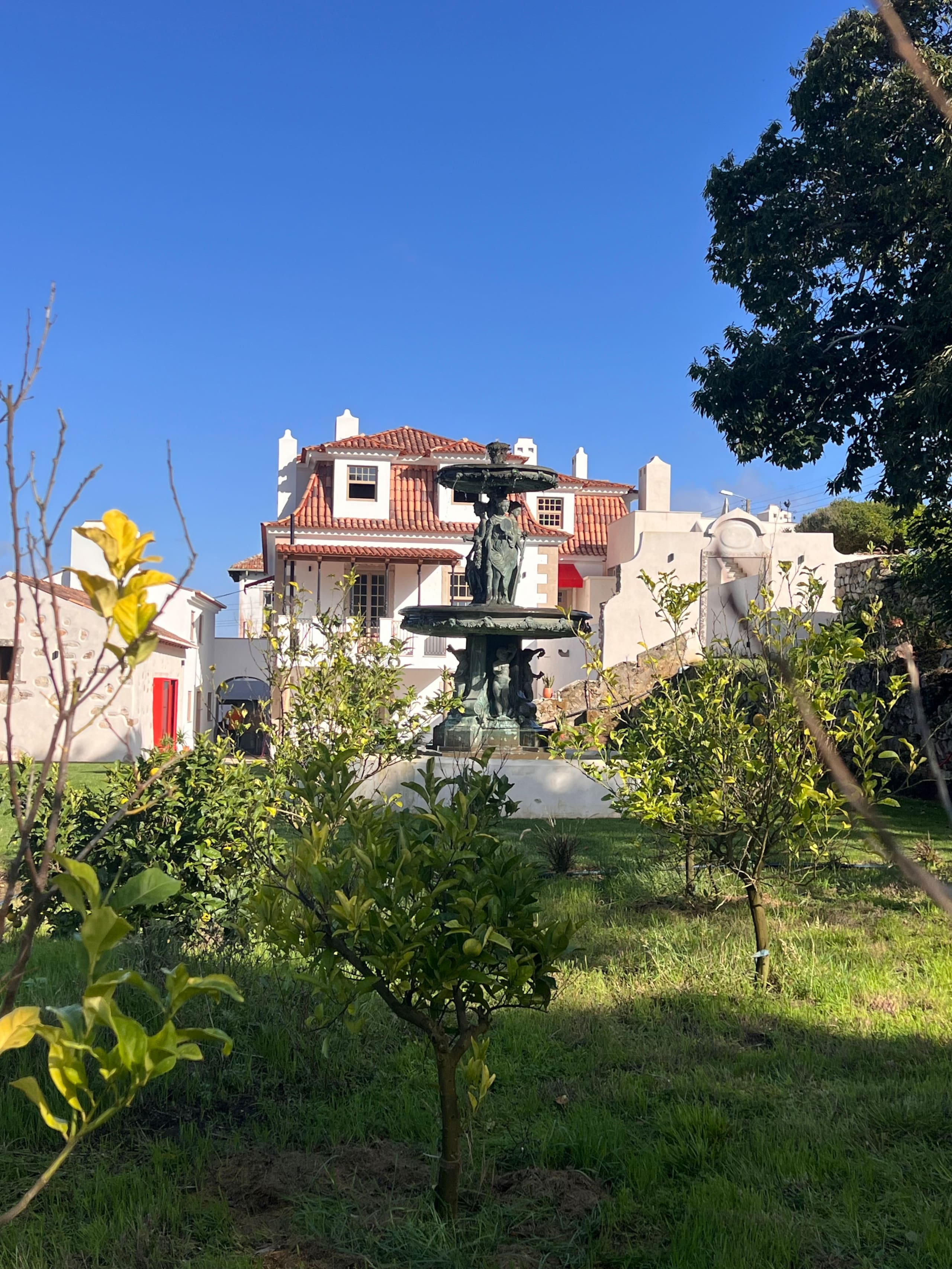 Collares Sintra Petit Palais CB [No translation] 15