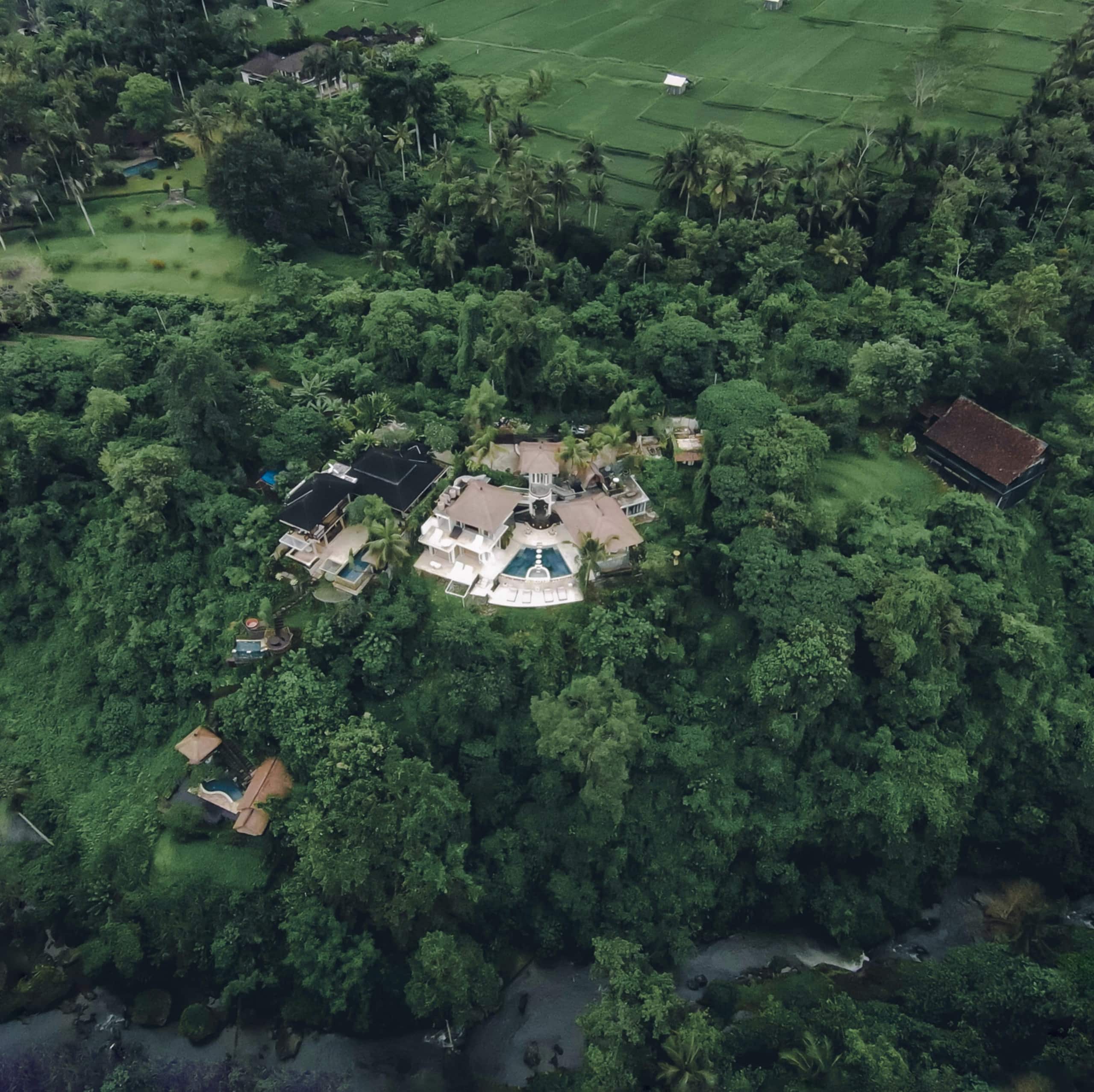 Ultra Lux Viral Jungle Views @ VillaCellaBella 12