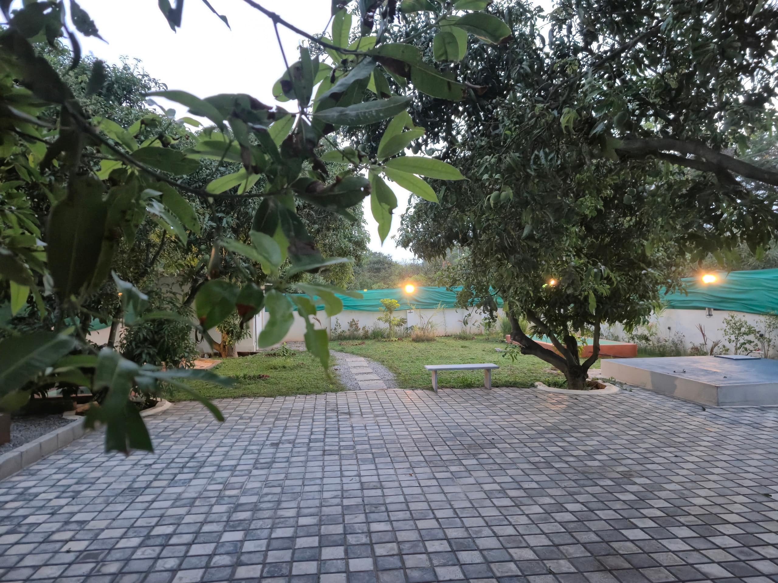 Taproot Homestay