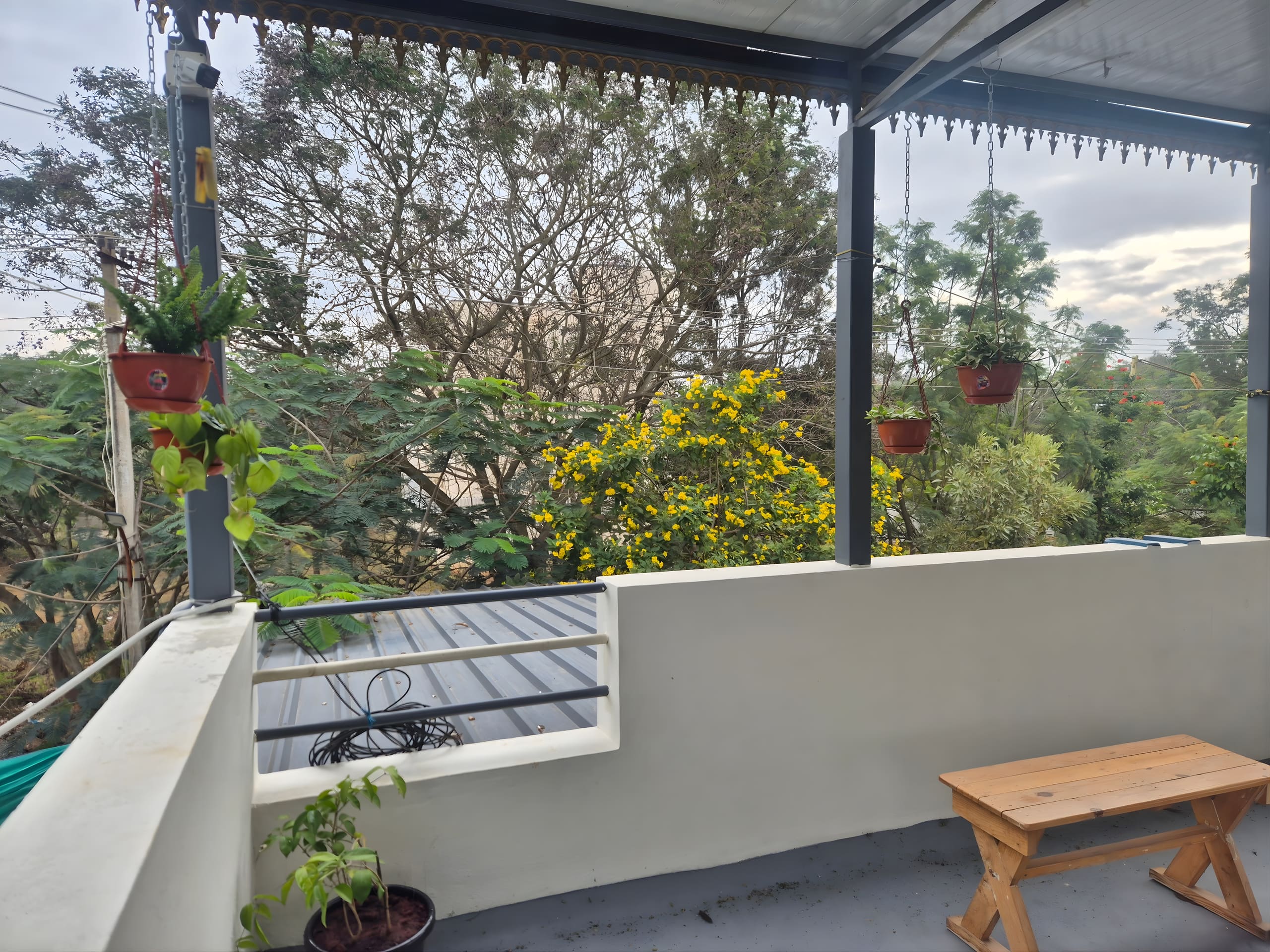 Taproot Homestay — photo 4