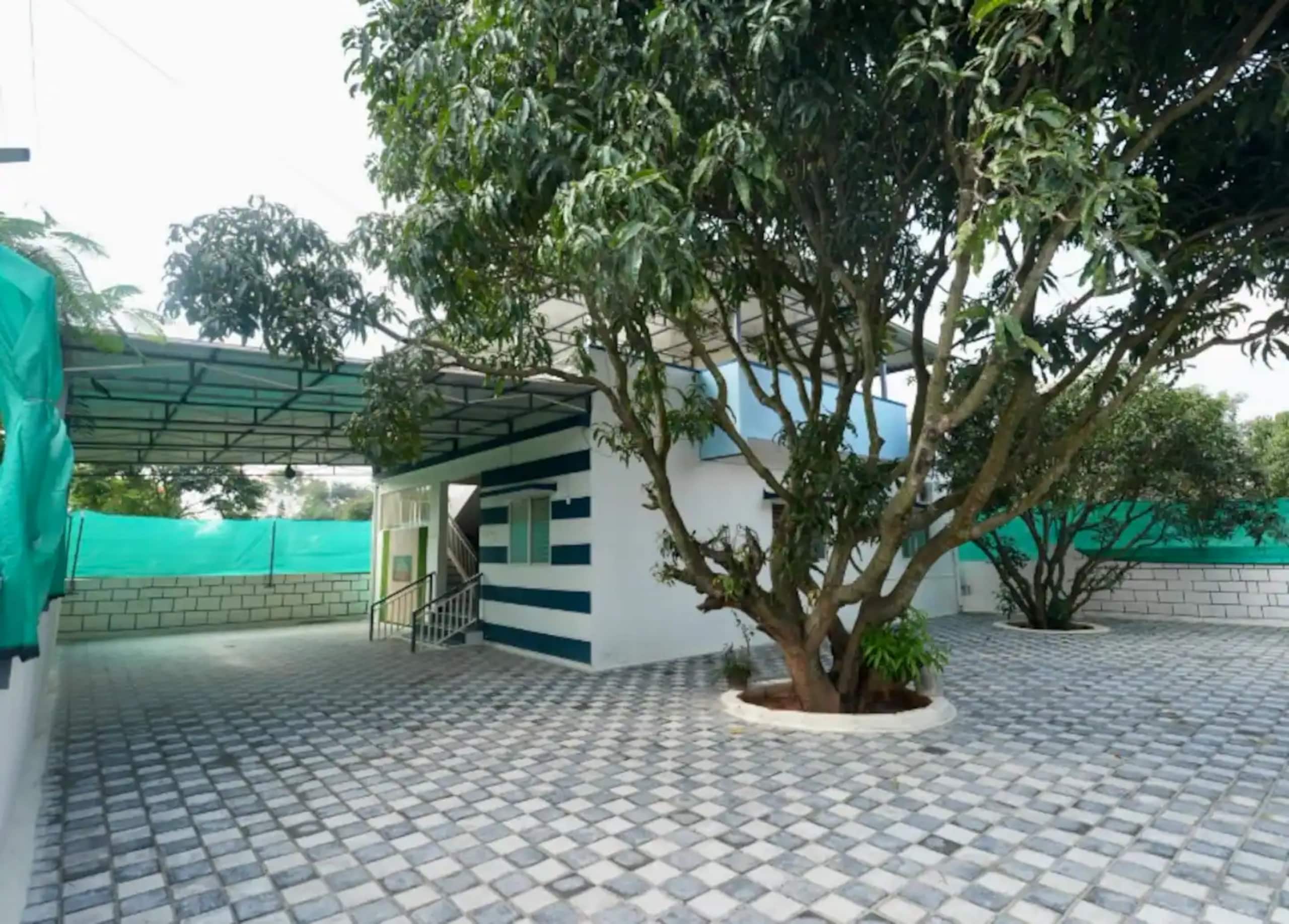 Taproot Homestay 22