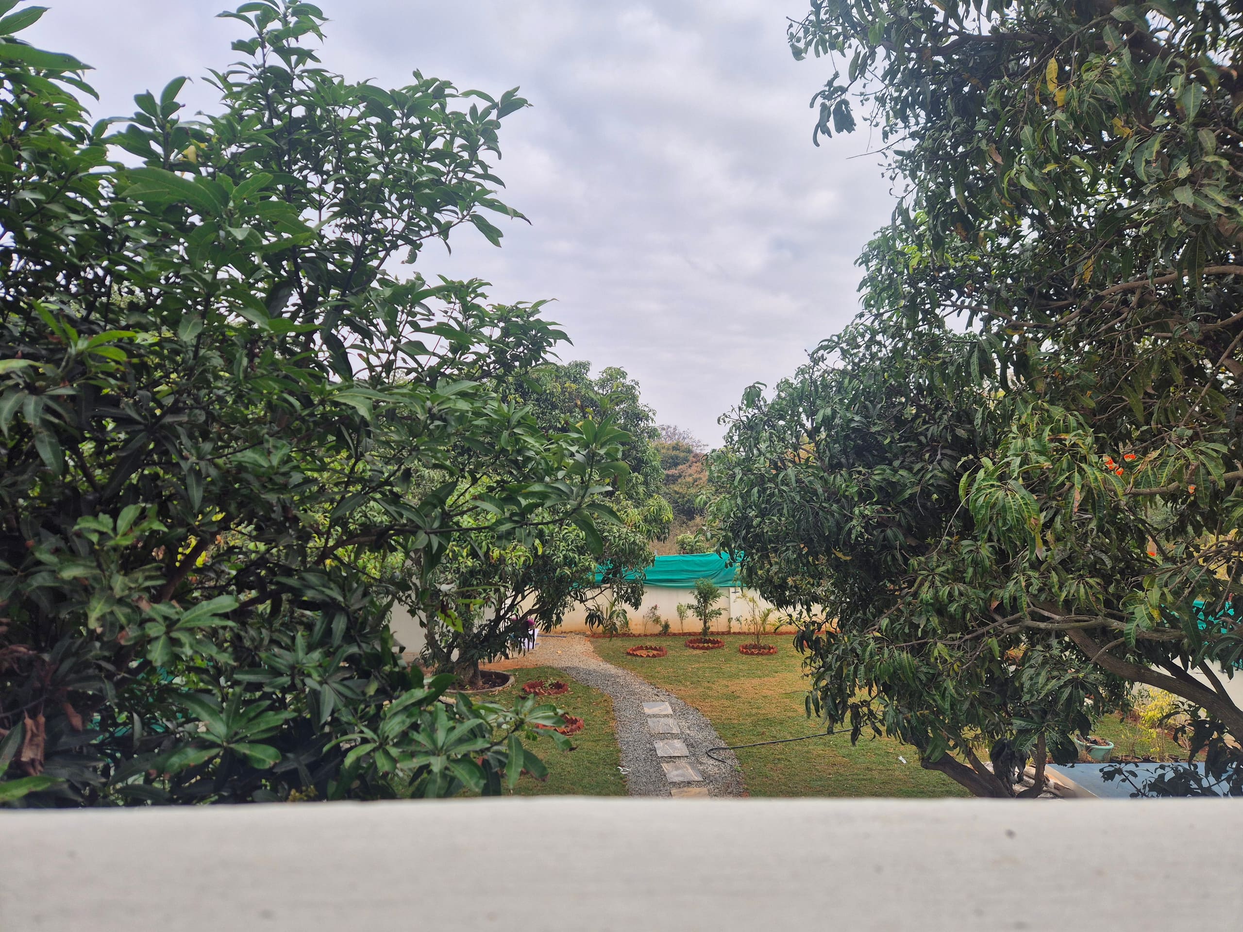 Taproot Homestay — photo 3