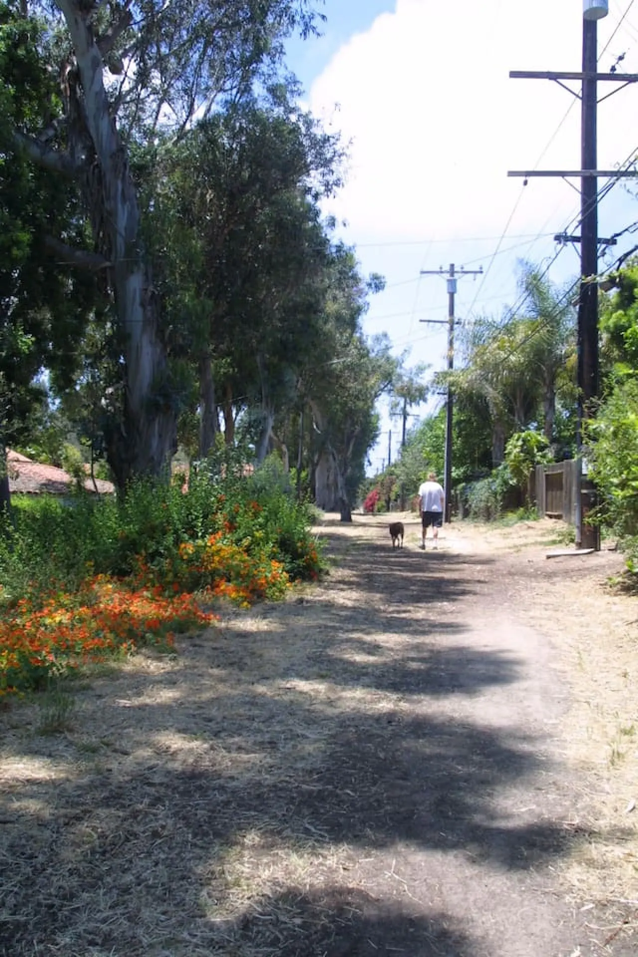 Redondo Beach Bungalow - 1.3Miles To Sand, FirePit 8