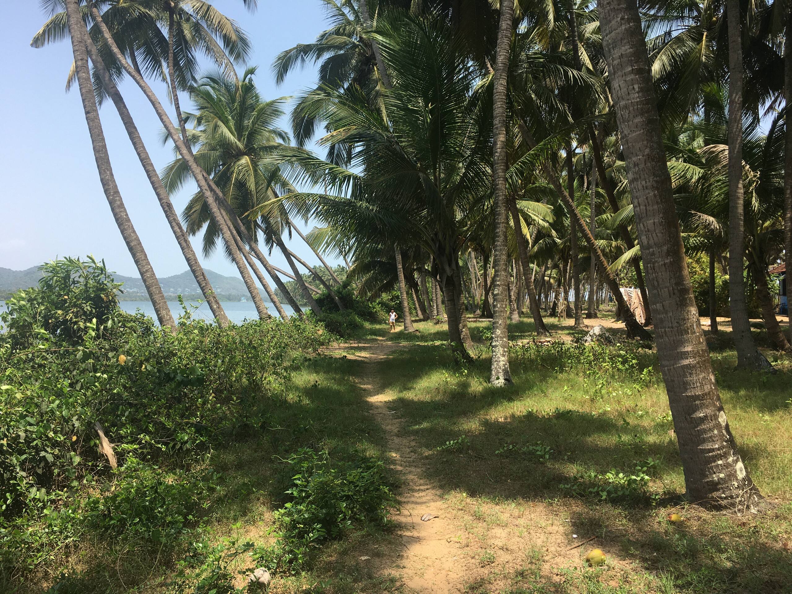 The Peacock House - Island Retreat 38