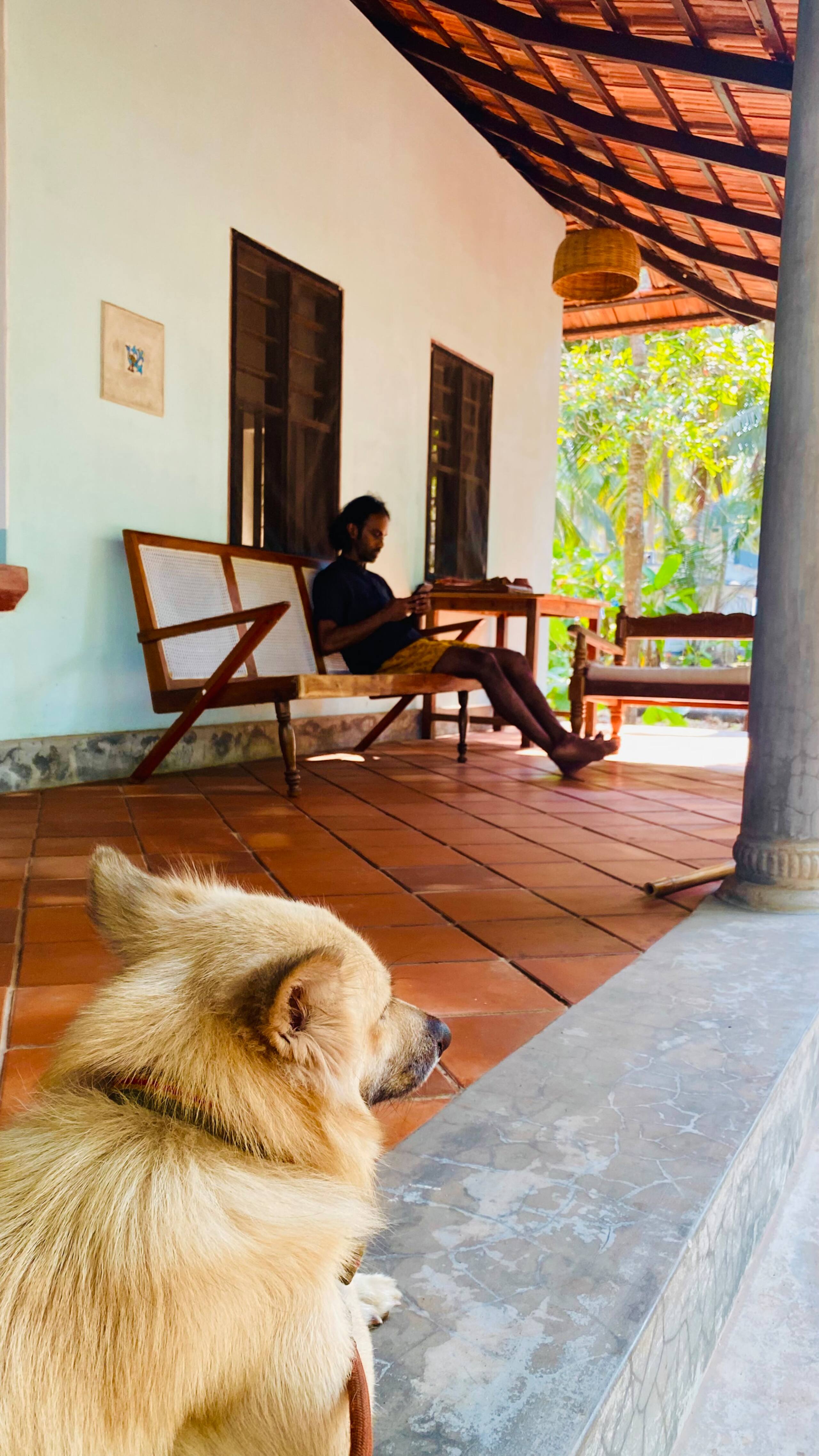 The Peacock House - Island Retreat 29