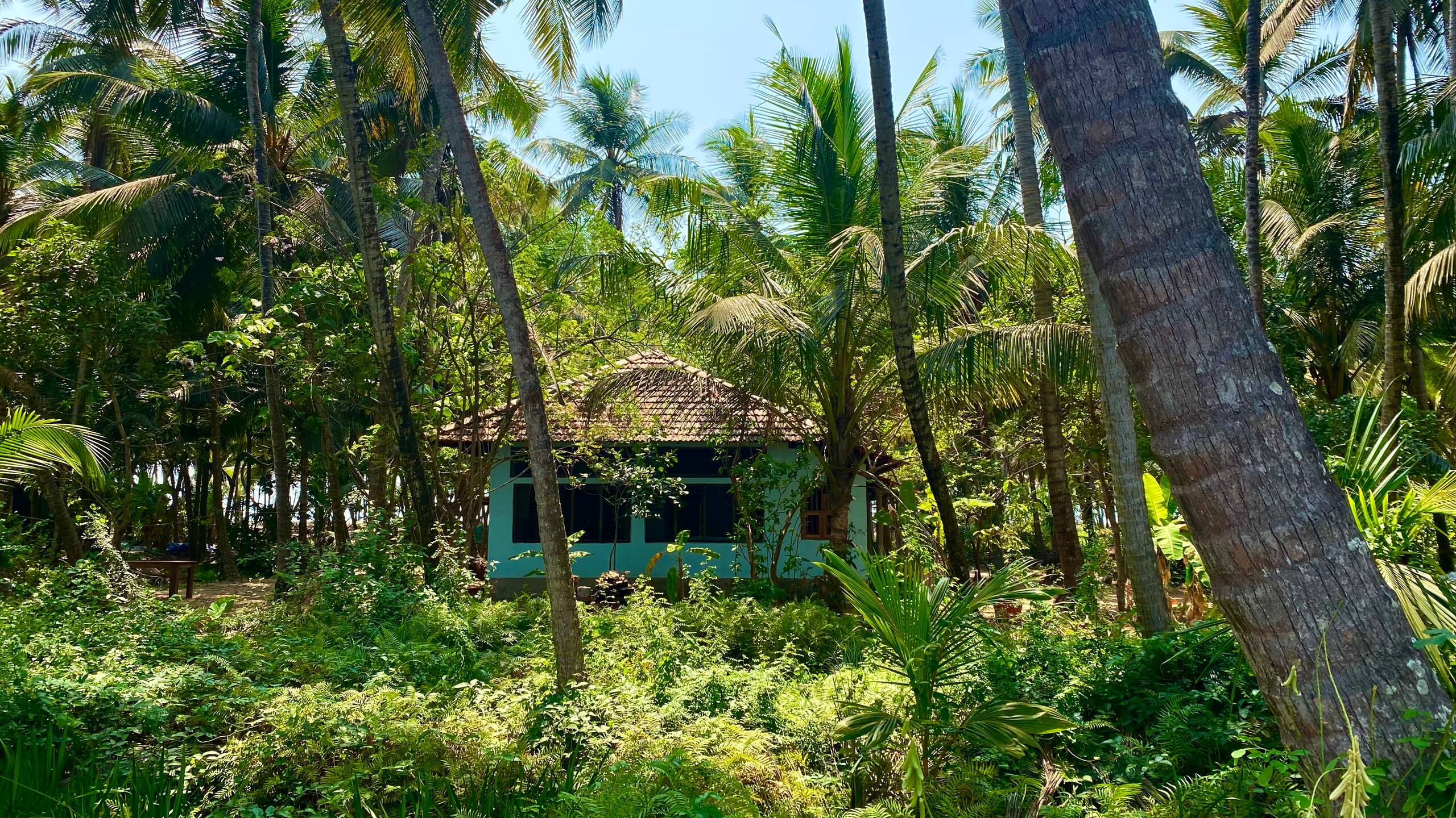 The Peacock House - Island Retreat 37
