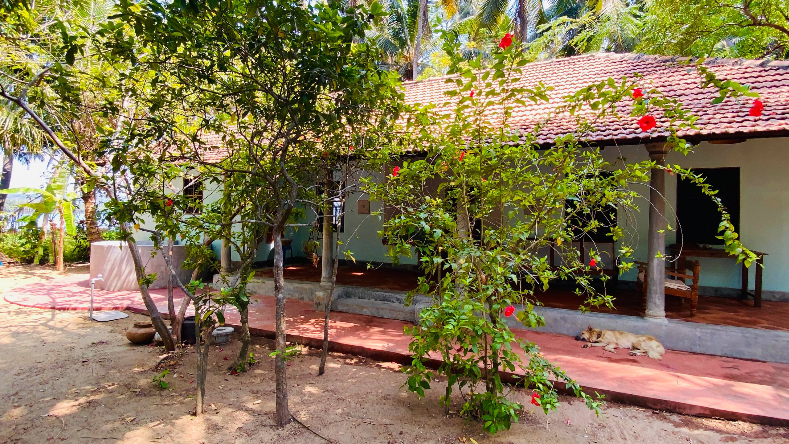 The Peacock House - Island Retreat 33