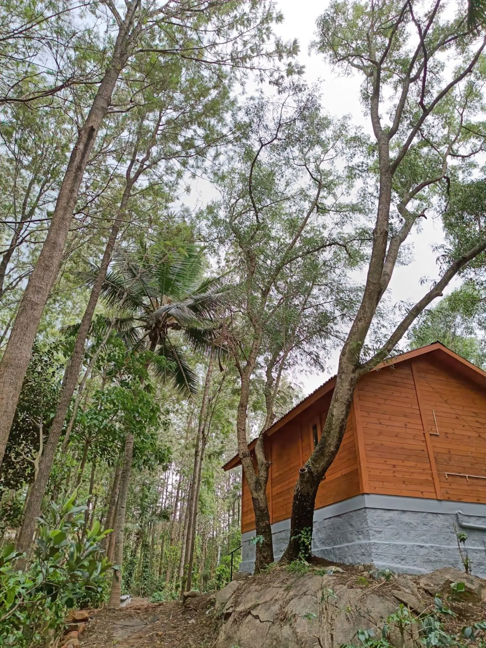 Citrus Trail - Rustic Cottage in Coffee Plantation 2