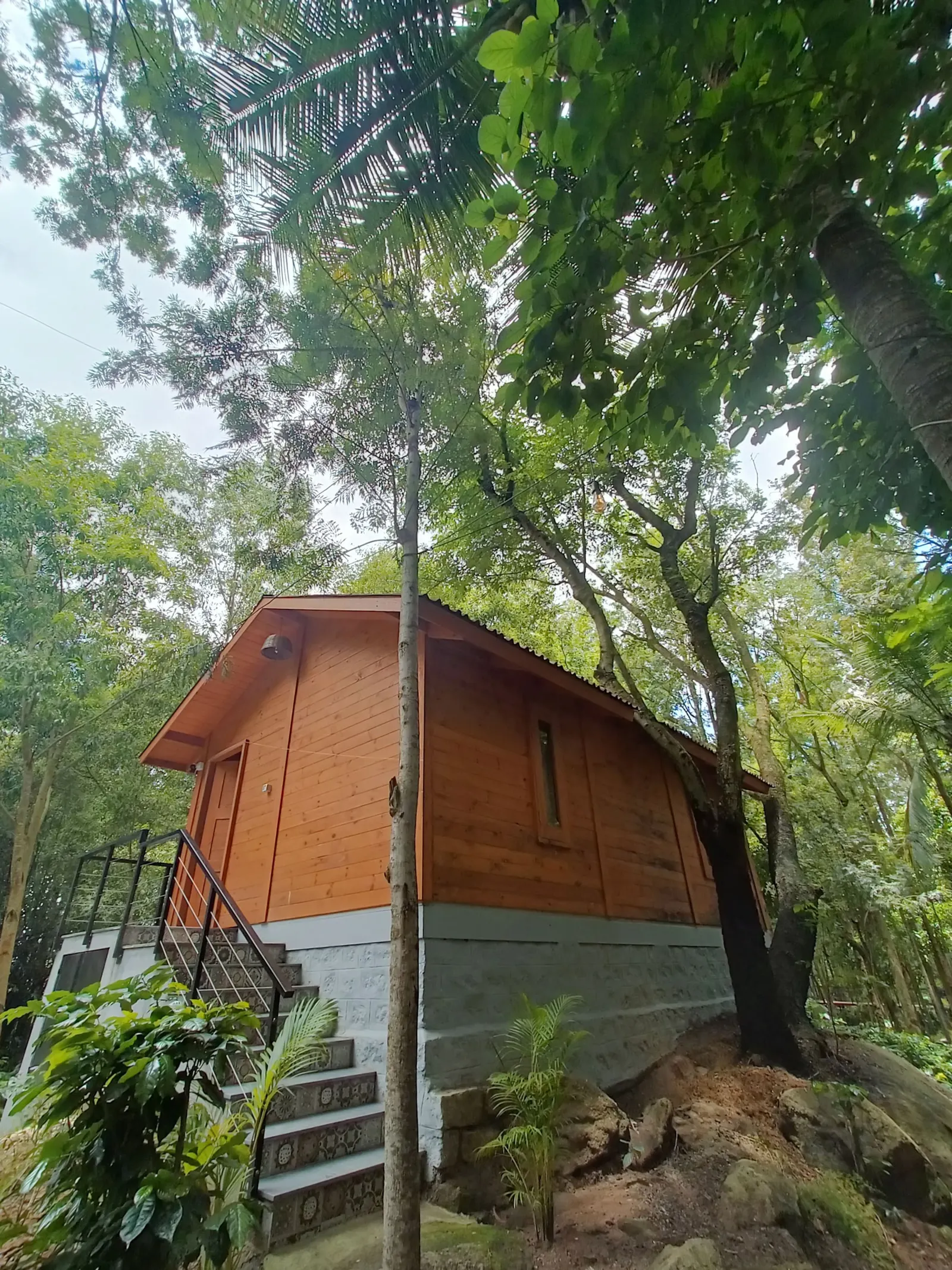 Citrus Trail - Rustic Cottage in Coffee Plantation 4