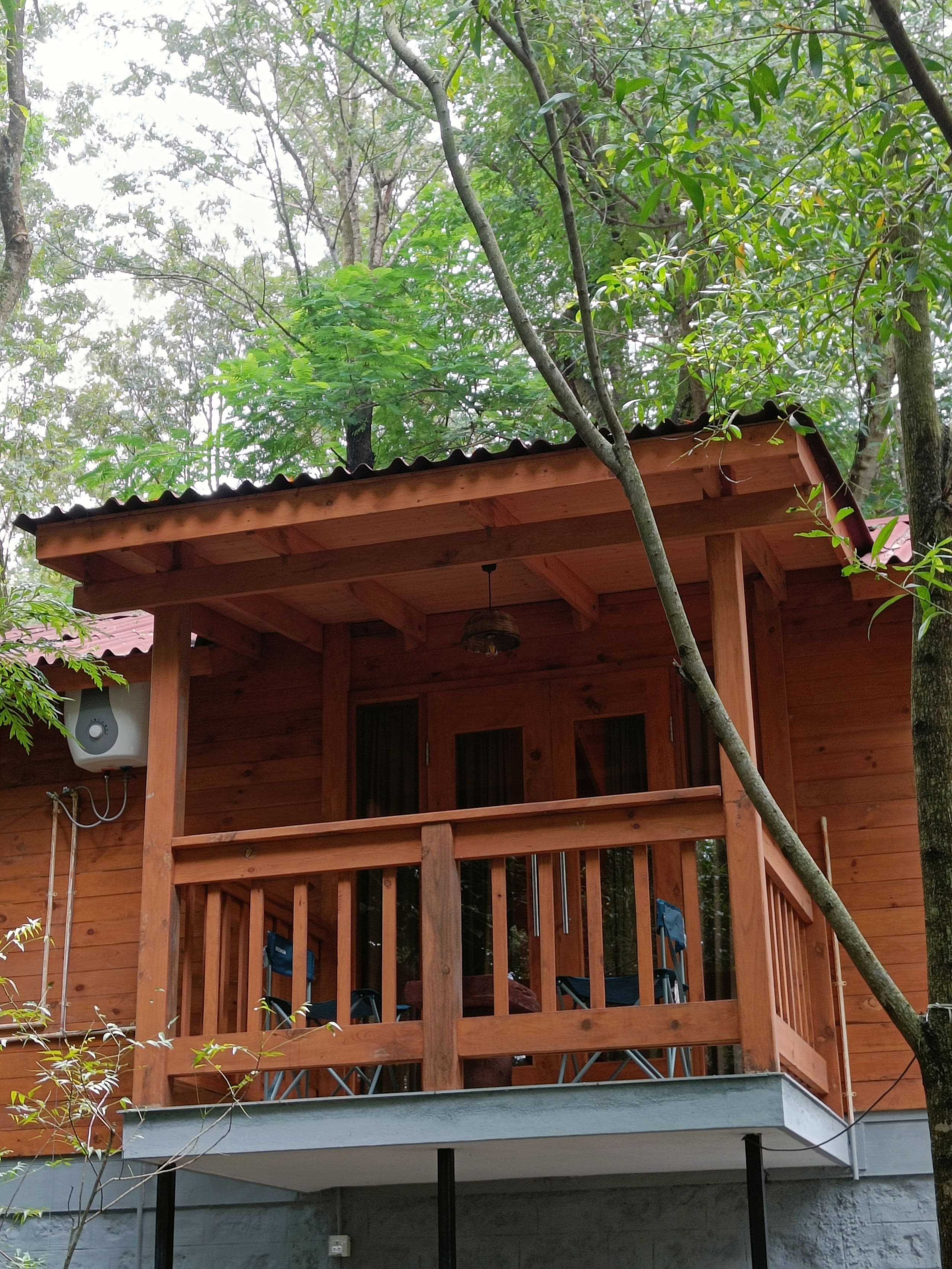 Citrus Trail - Rustic Cottage in Coffee Plantation 5