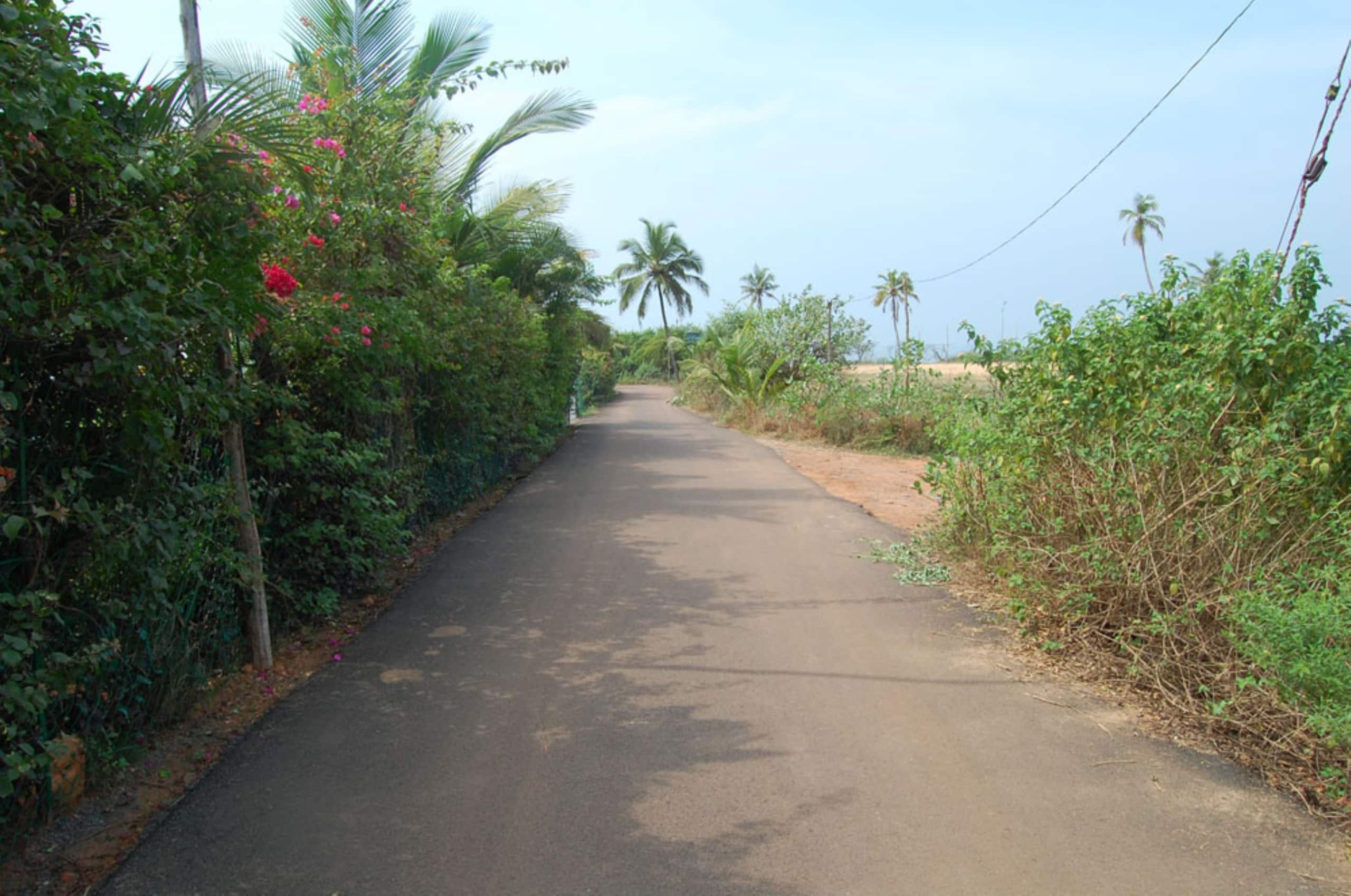 Pool View Studio Apt in Candolim Beach Resort 13