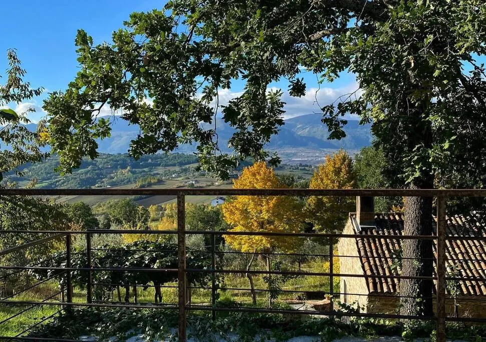Tenuta SantoJanni - Irpinia 16