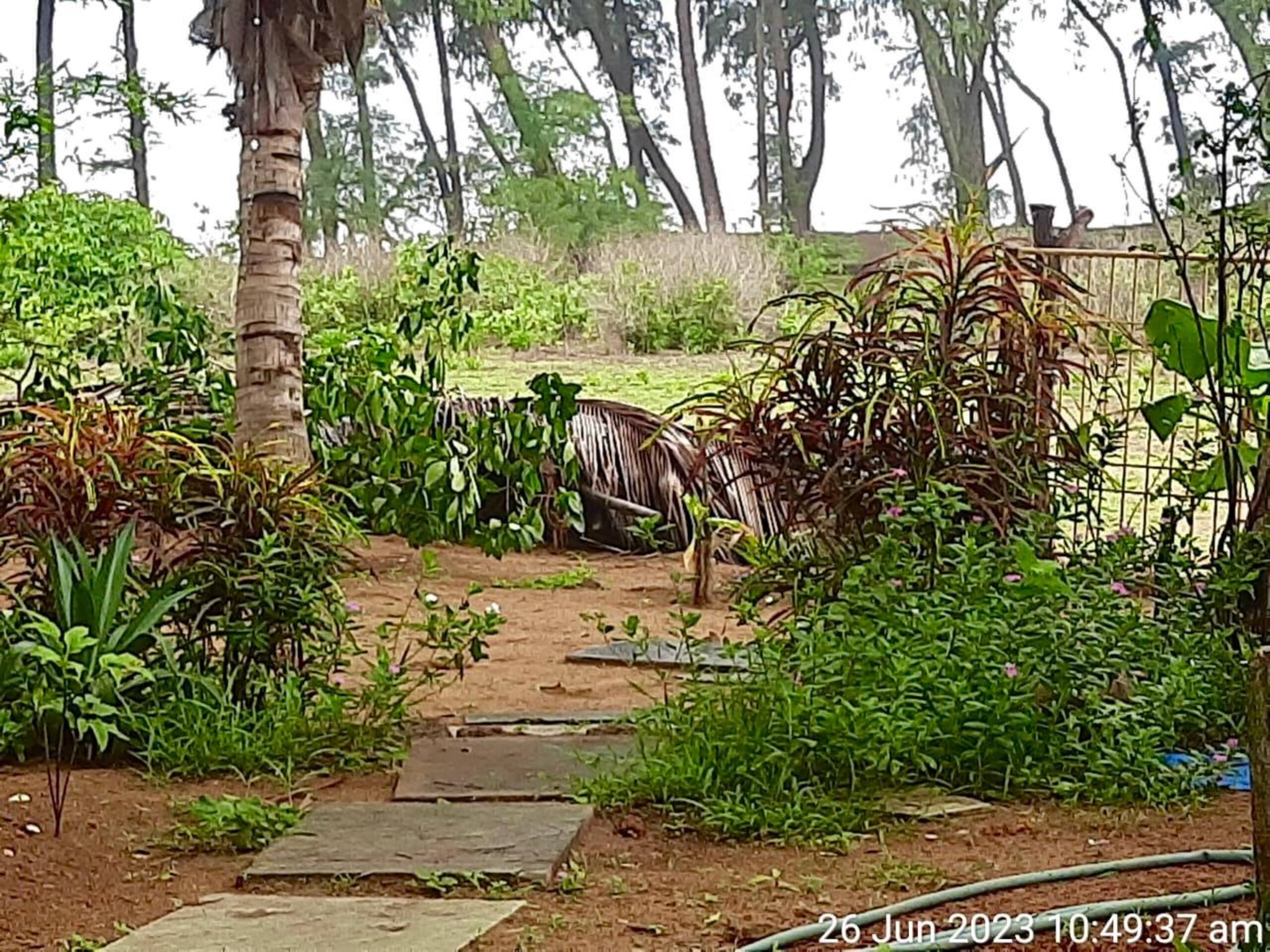 The Villa Mirage on Galgibagh. 25