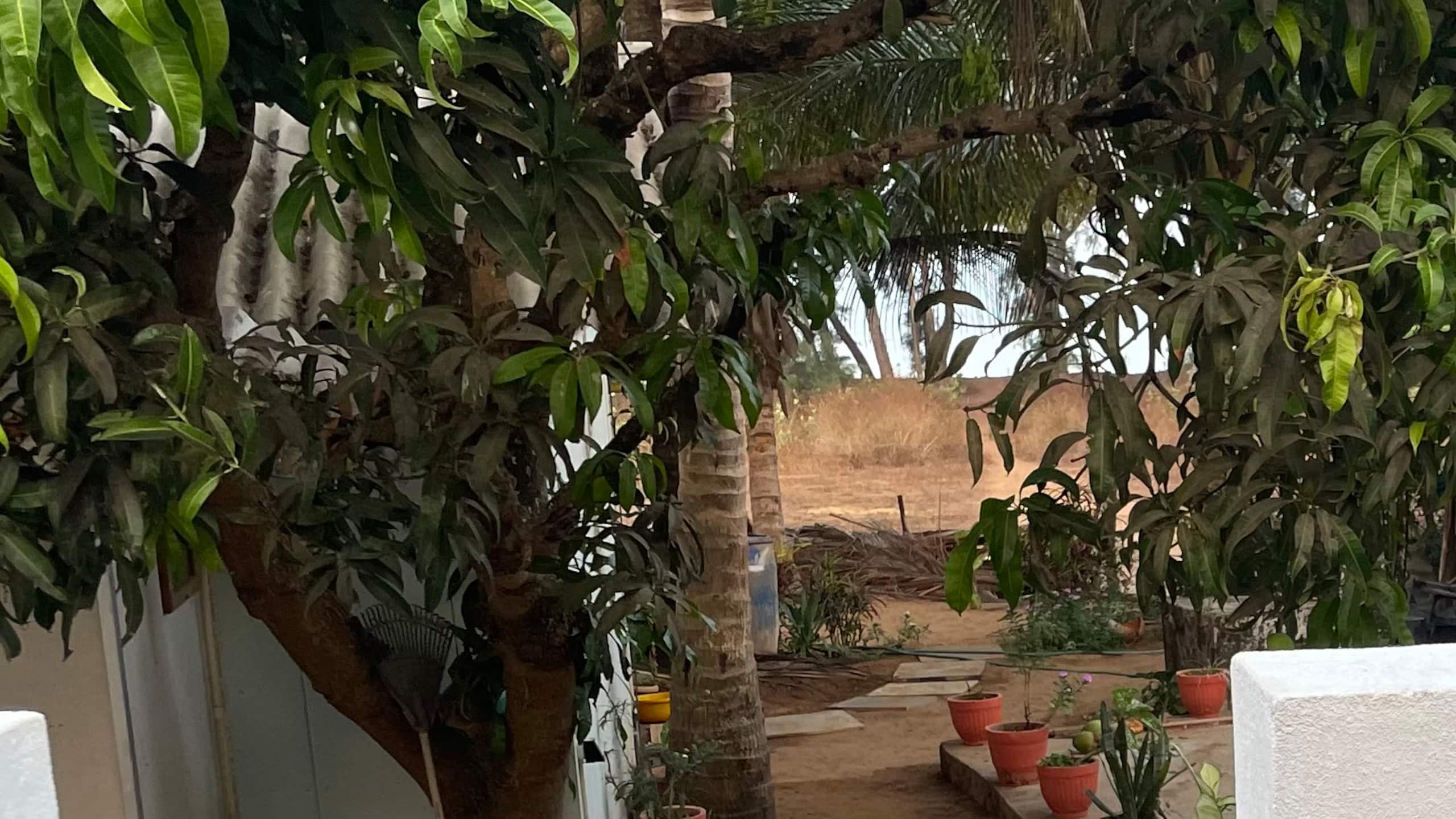 The Villa Mirage on Galgibagh. 7