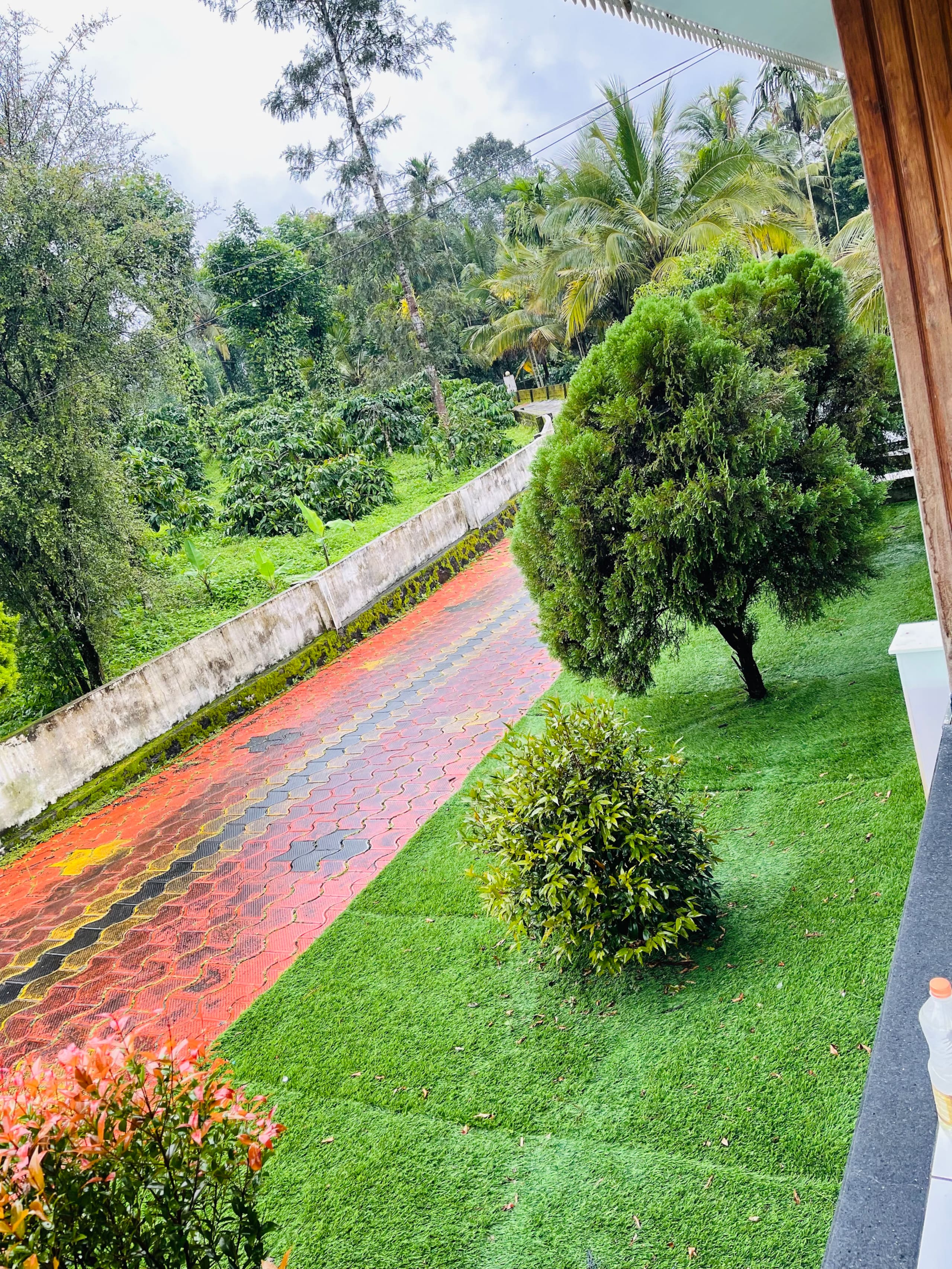 Wayanad Midnight Oasis 23