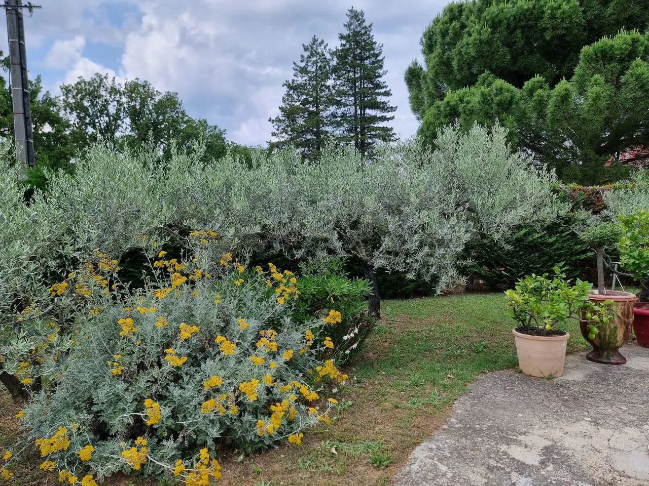 Gîte avec Piscine au cœur de la Vallée de la Cèze 7