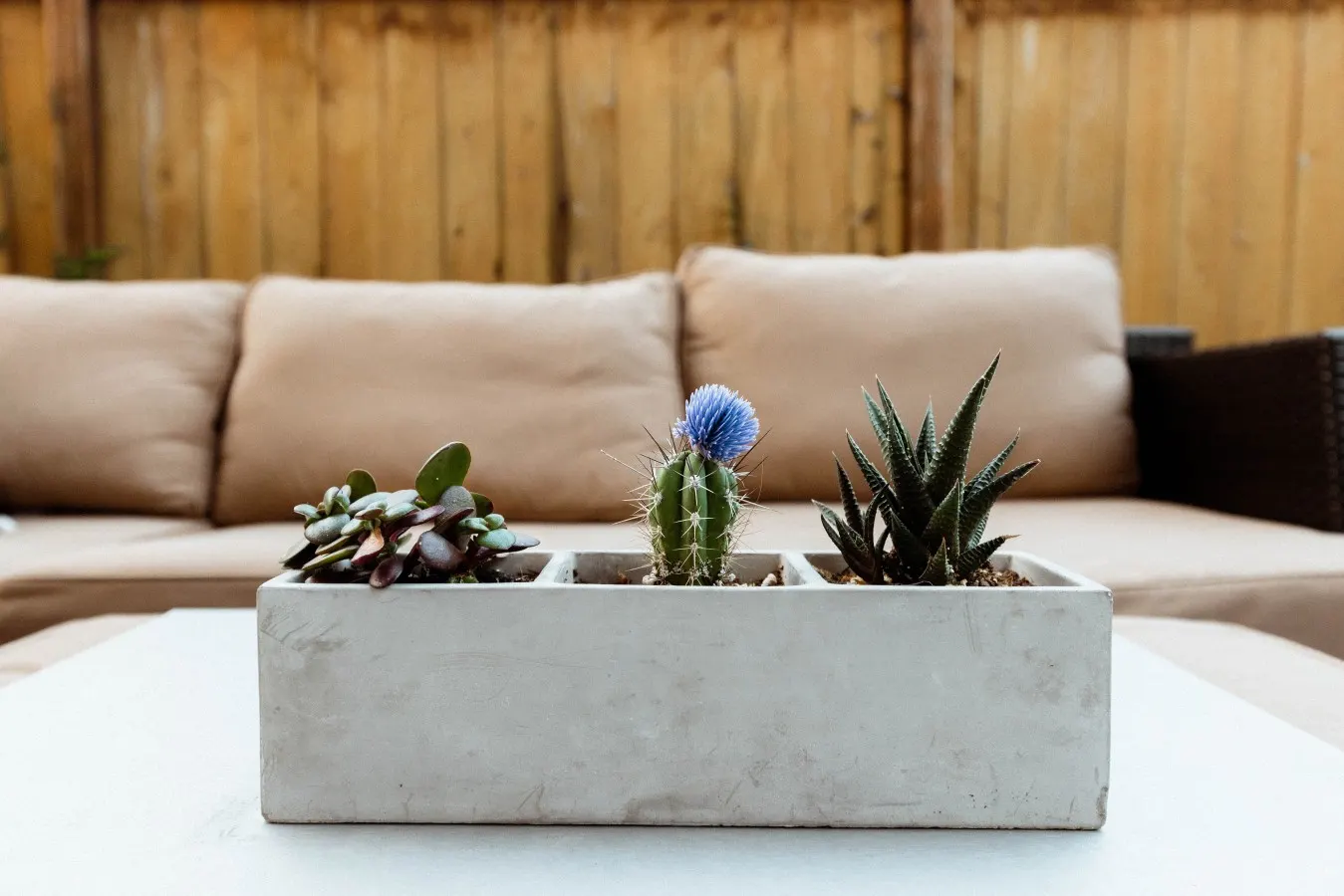 Modern 3BR in the Heart of Ballard Private Patio 9