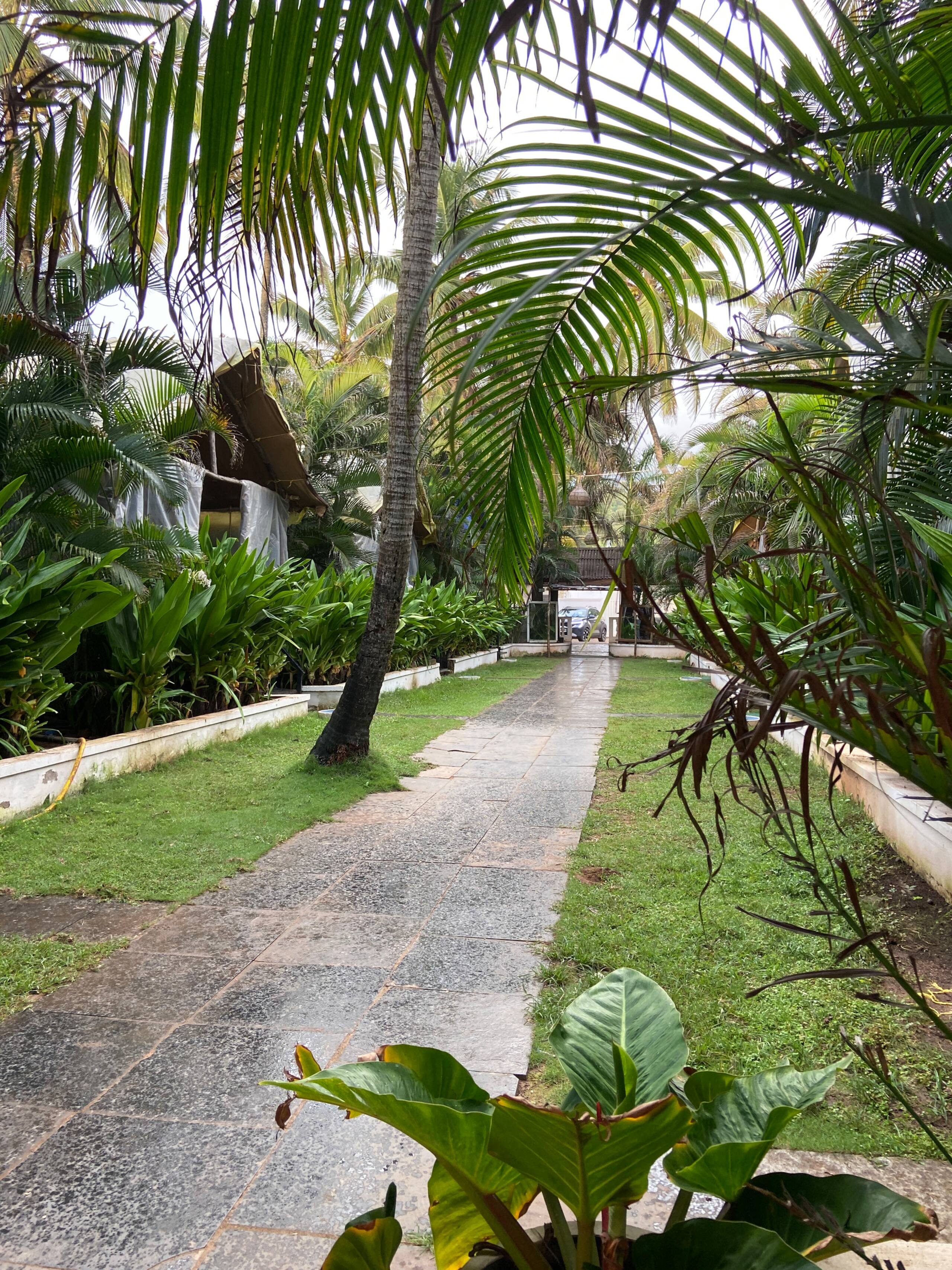 Beachfront Resort | Garden View Cottage 21