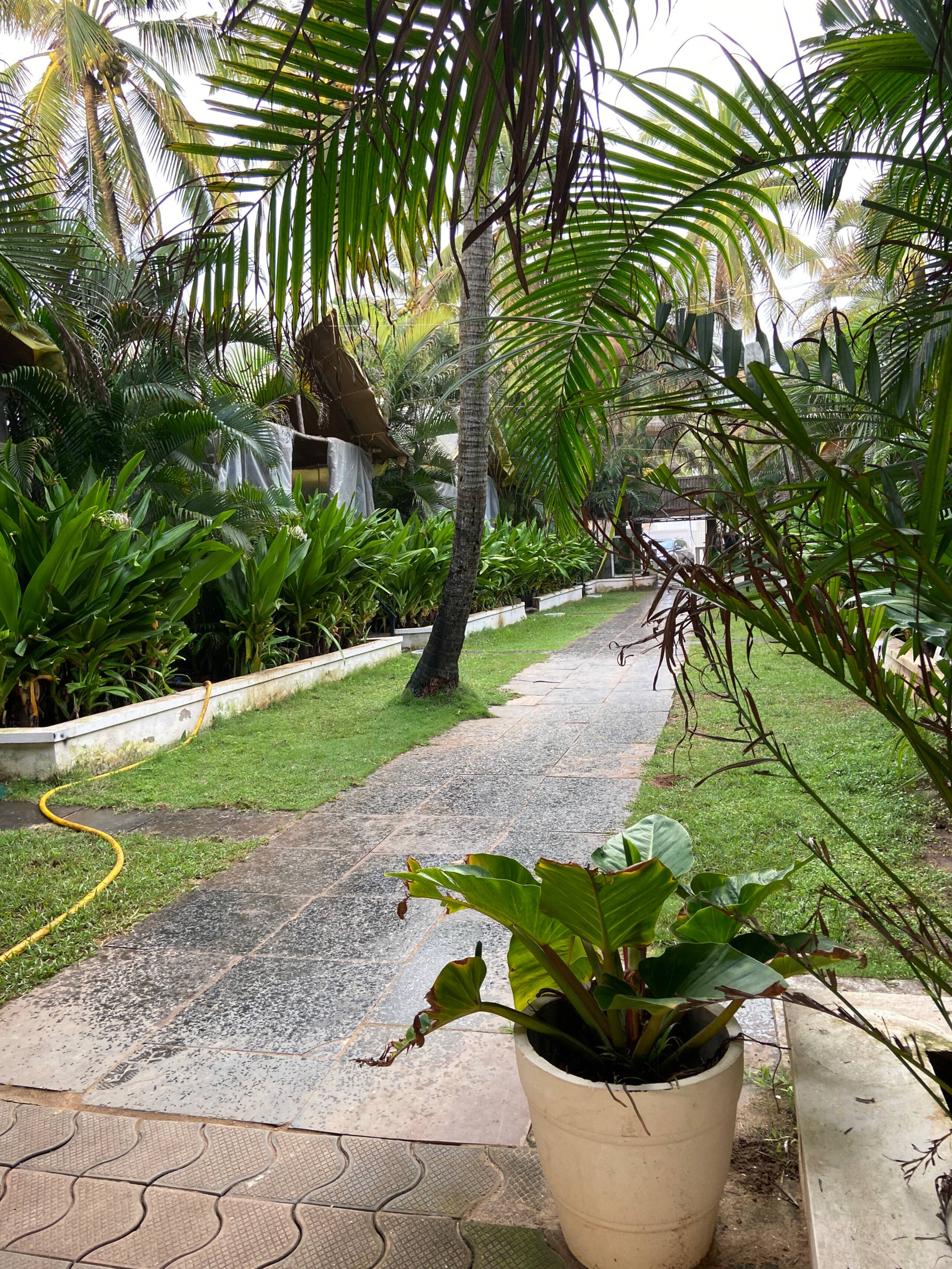 Beachfront Resort | Garden View Cottage 23