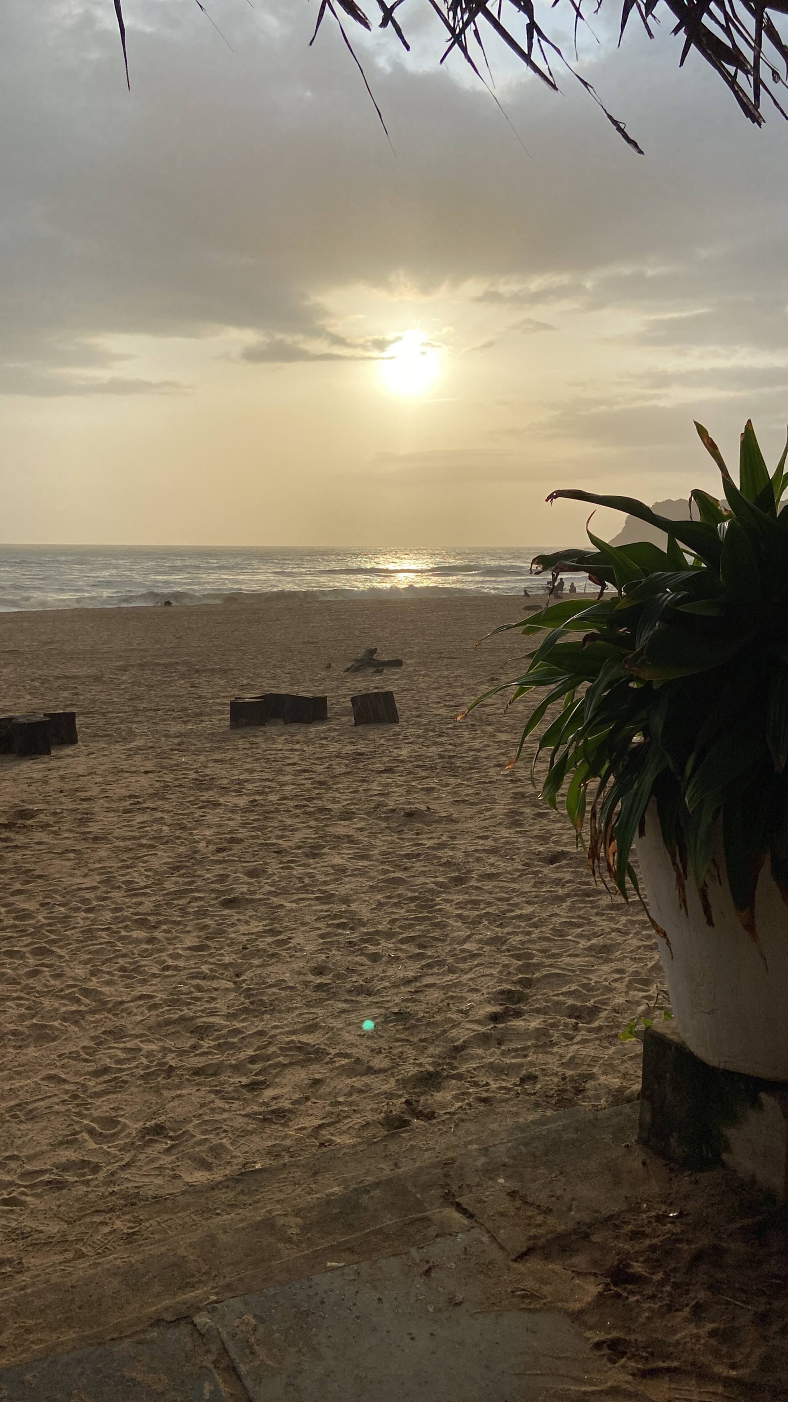 Beachfront Resort | Garden View Cottage 24