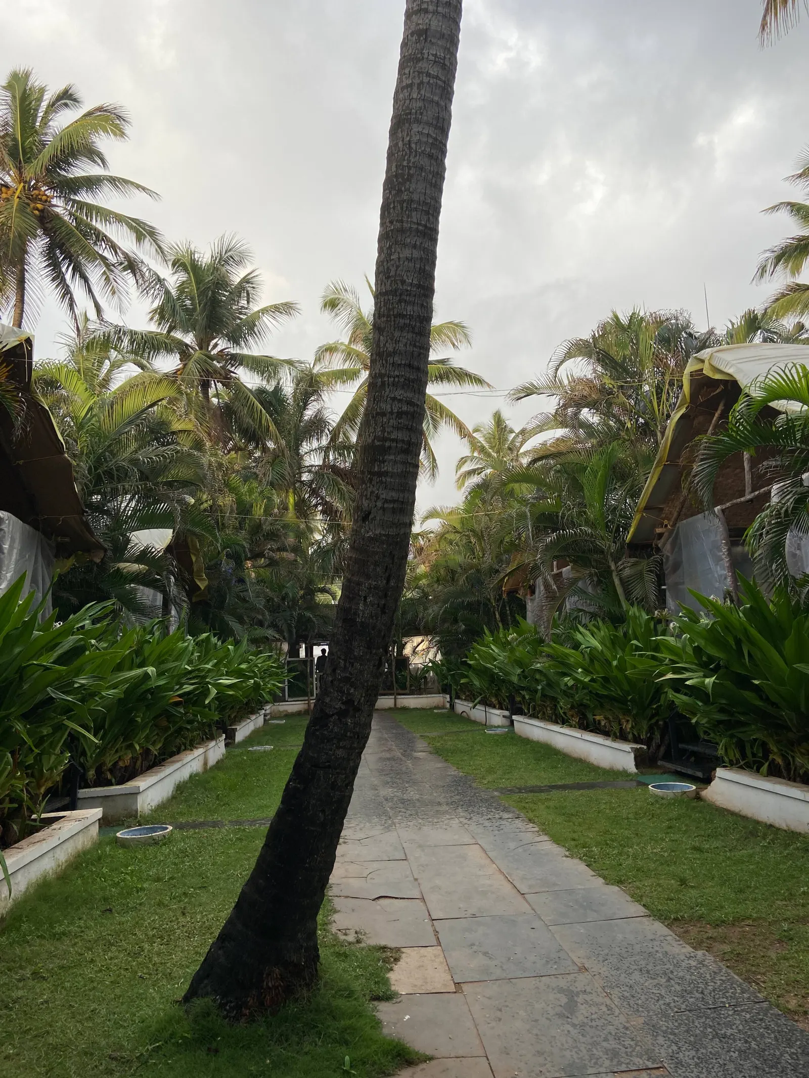 Beachfront Resort Garden View Cottage 22