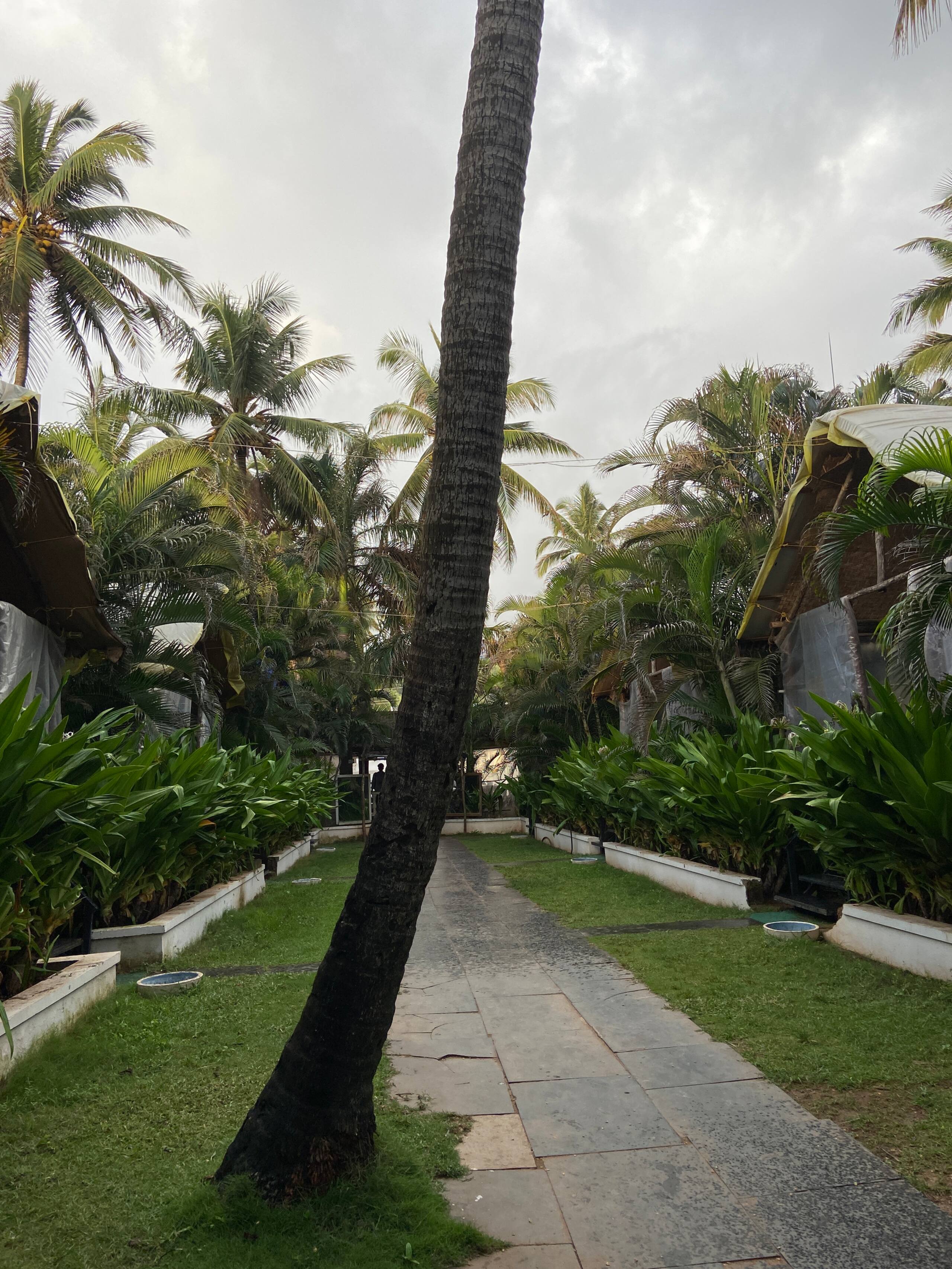 Beachfront Resort | Garden View Cottage 22