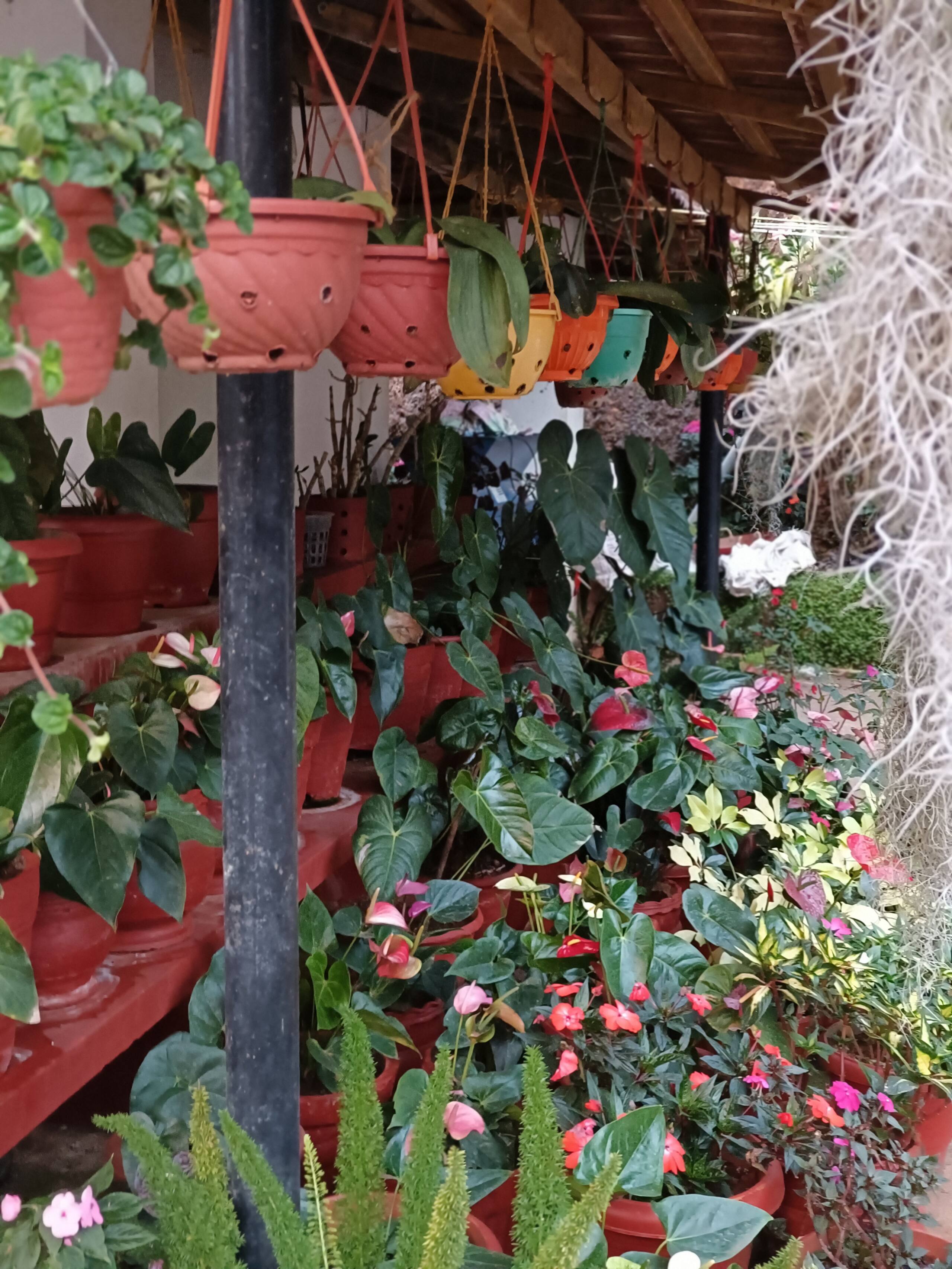 The Blue Mountains estate stay 2 32