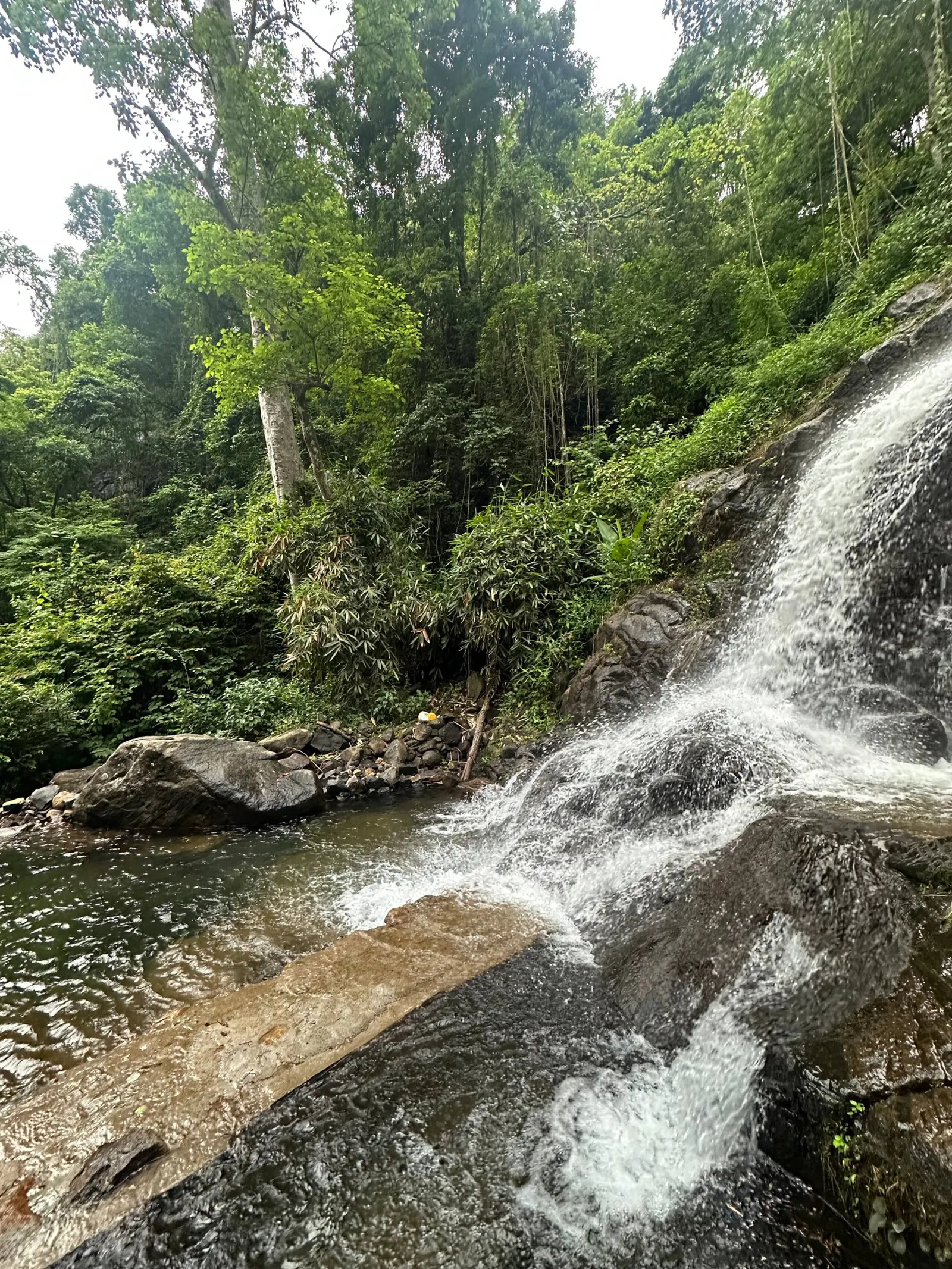 Srishti - Cottage with Tree House & Waterfalls 2