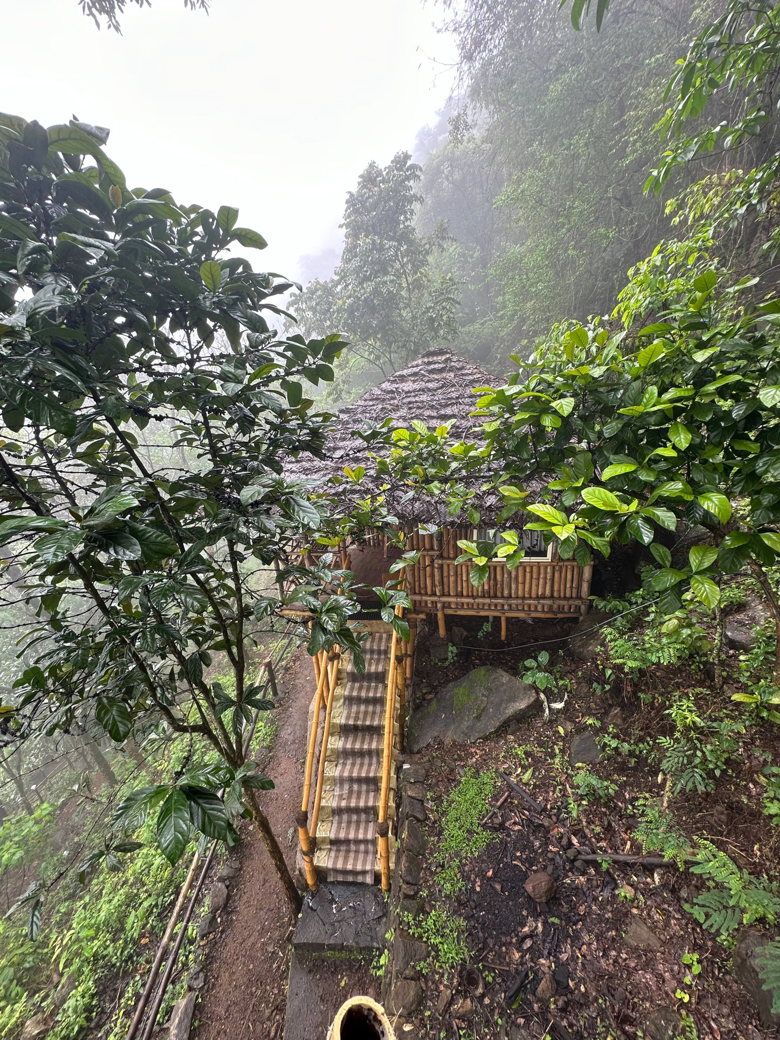 Srishti - Cottage with Tree House & Waterfalls 38