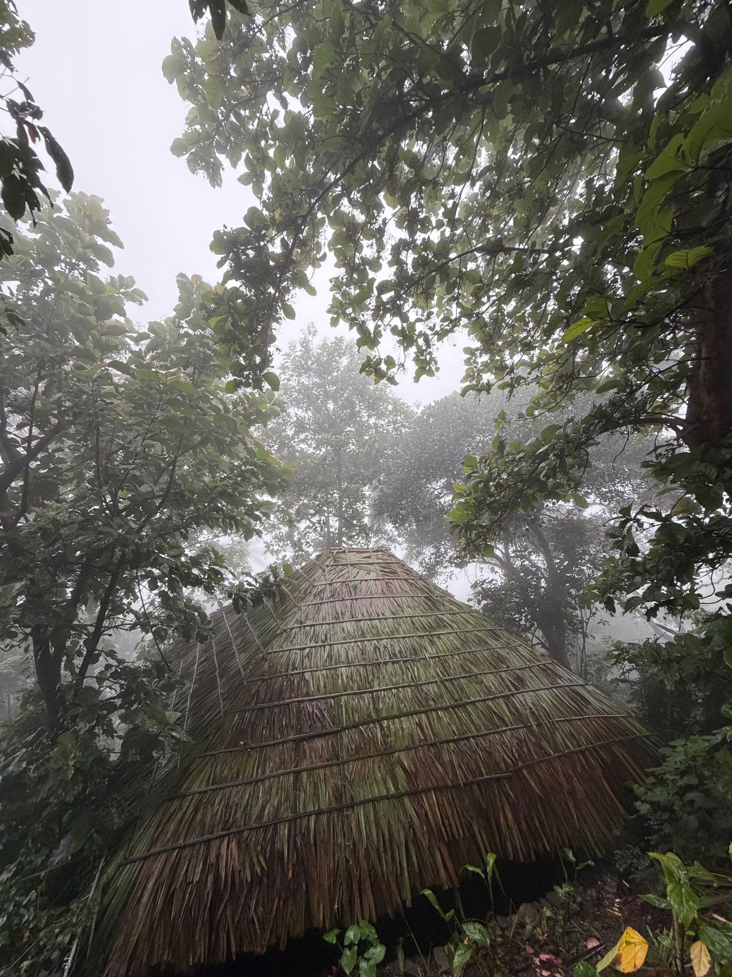Srishti - Cottage with Tree House & Waterfalls 10