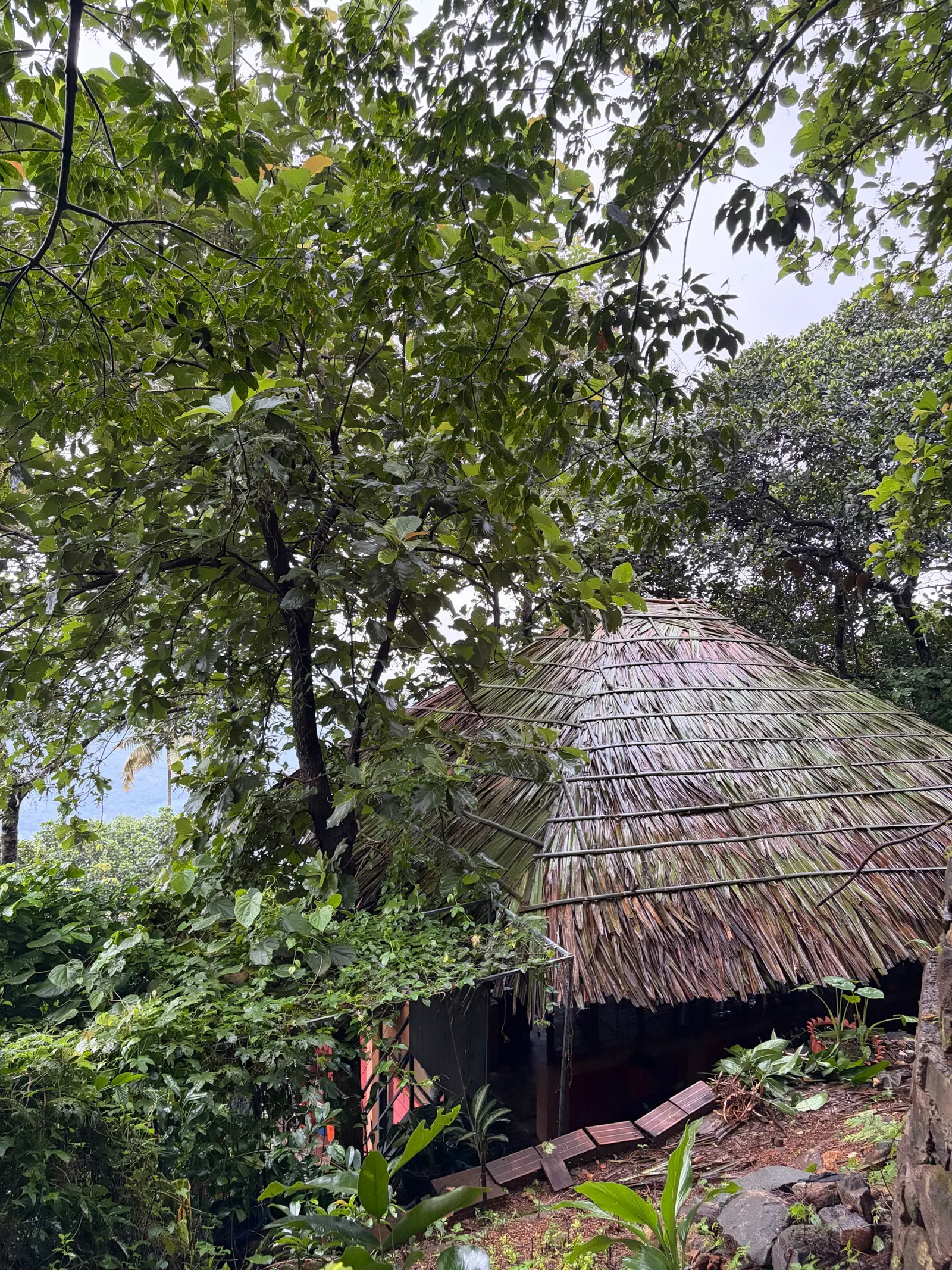 Srishti - Cottage with Tree House & Waterfalls 11