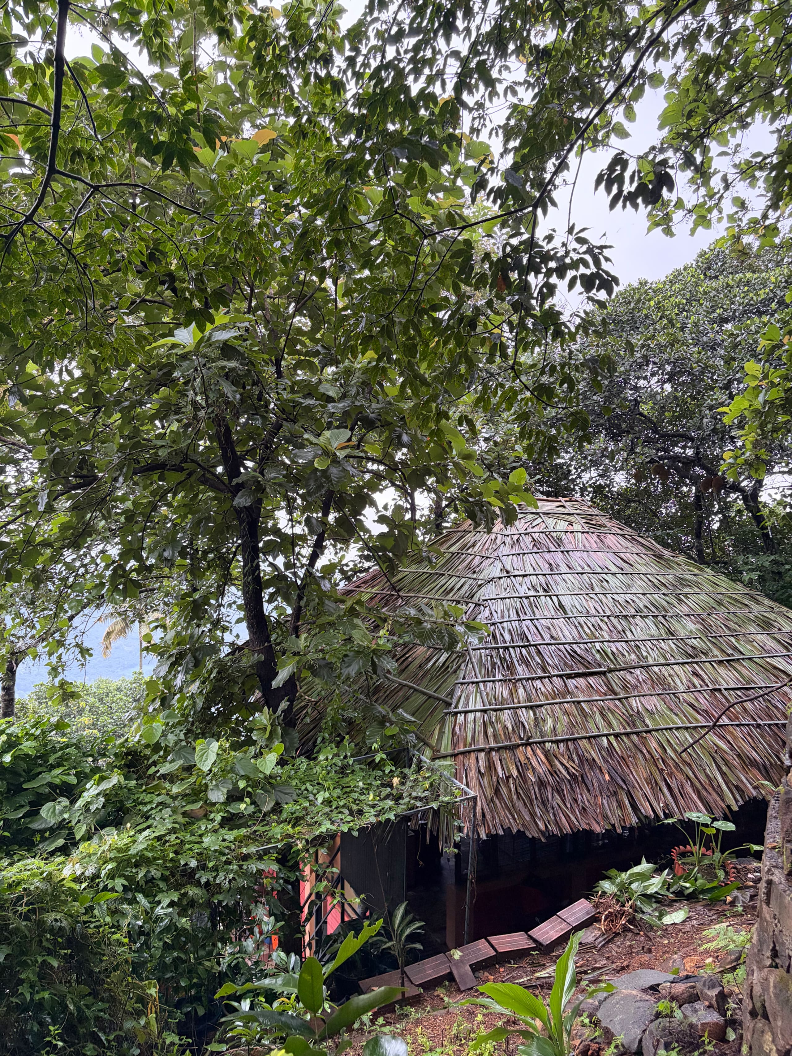 Srishti - Cottage with Tree House & Waterfalls 11