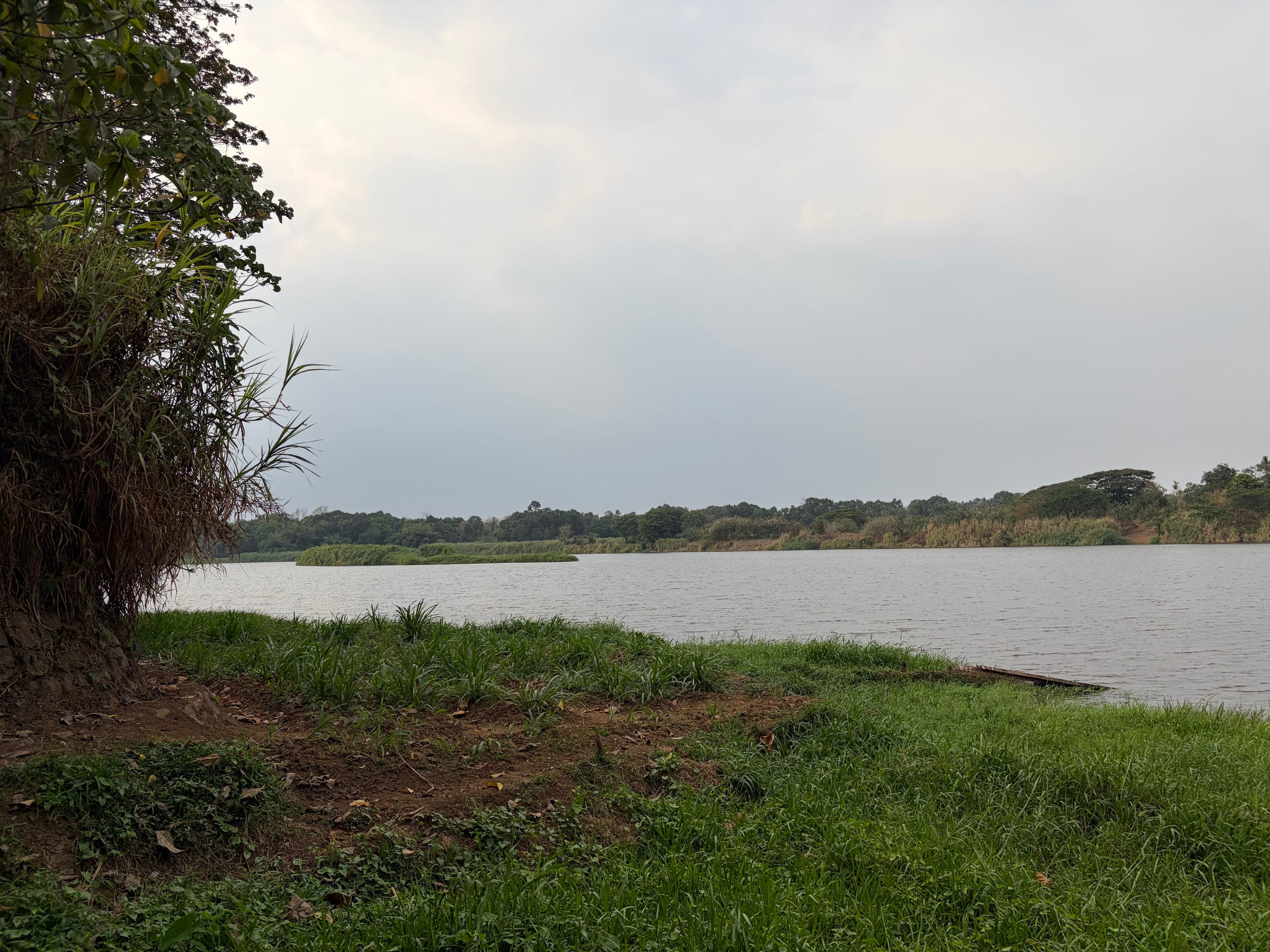 Palm Riverine: Kerala Heritage Retreat 35
